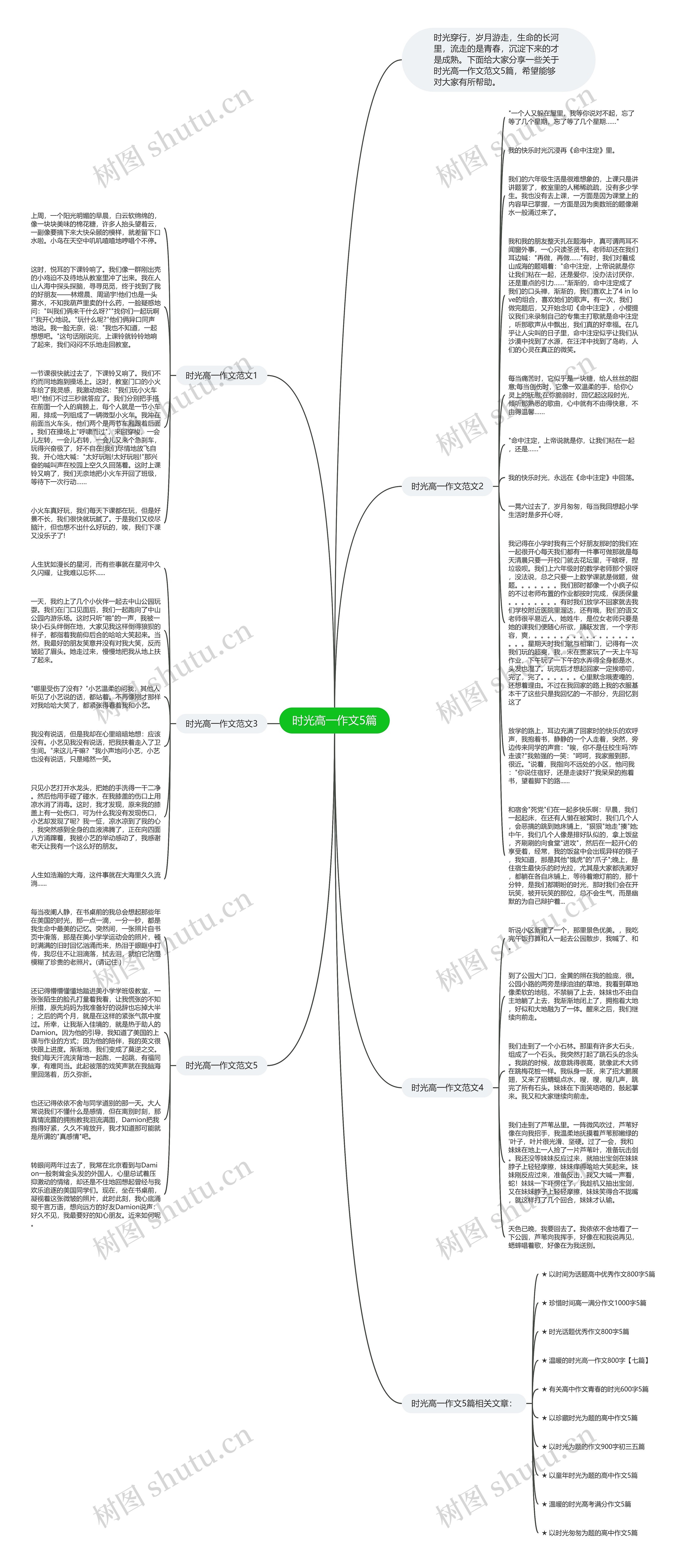 时光高一作文5篇思维导图