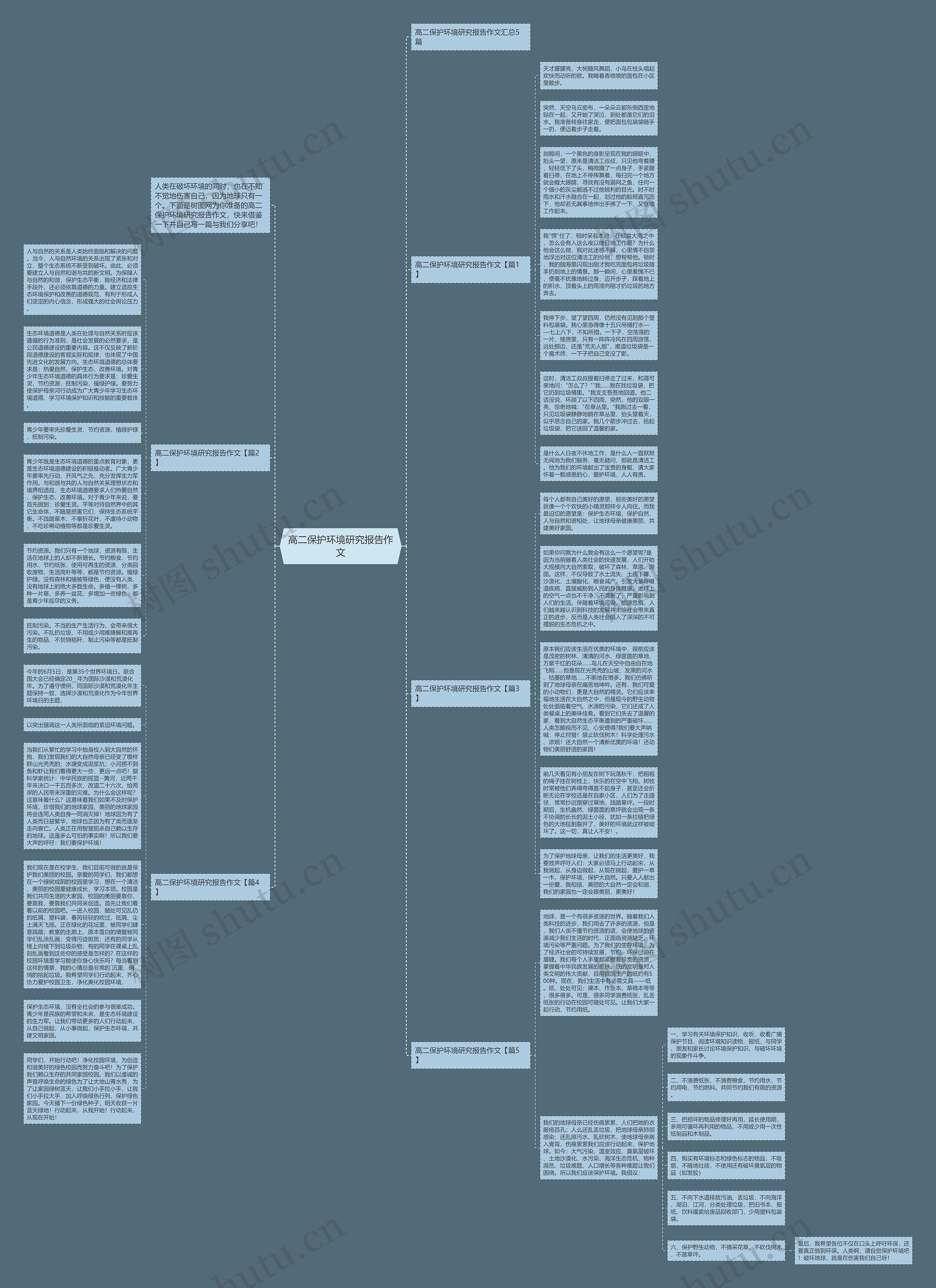 高二保护环境研究报告作文思维导图