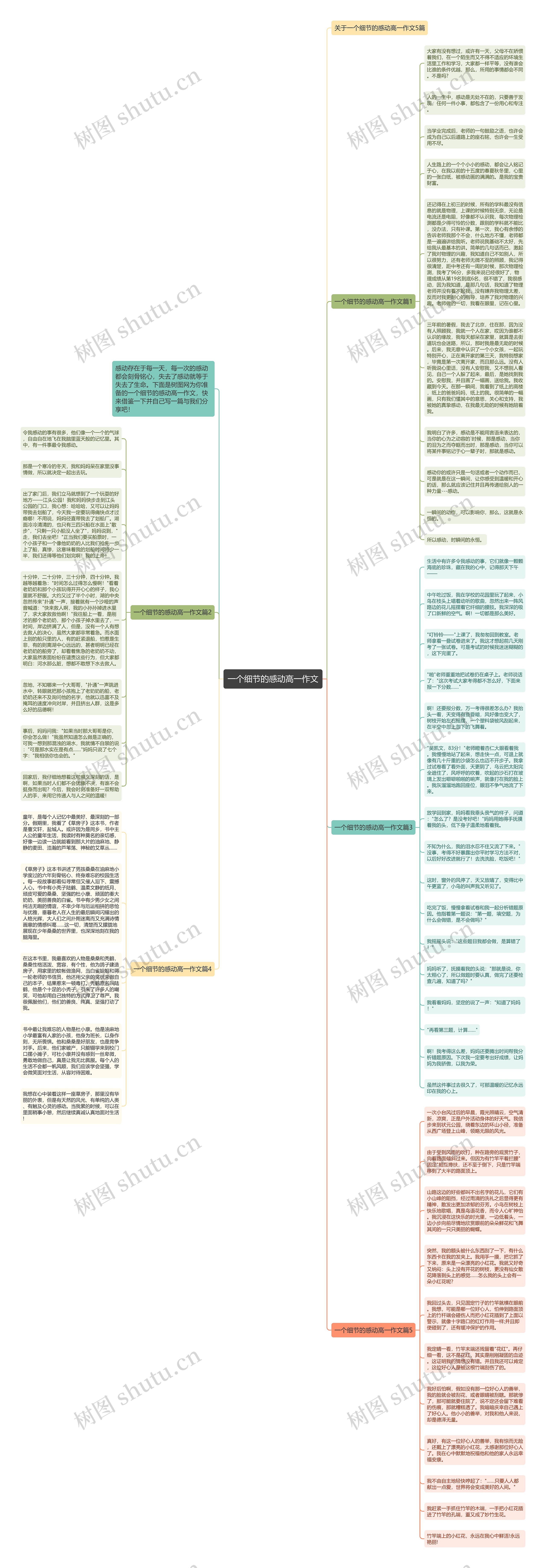 一个细节的感动高一作文思维导图