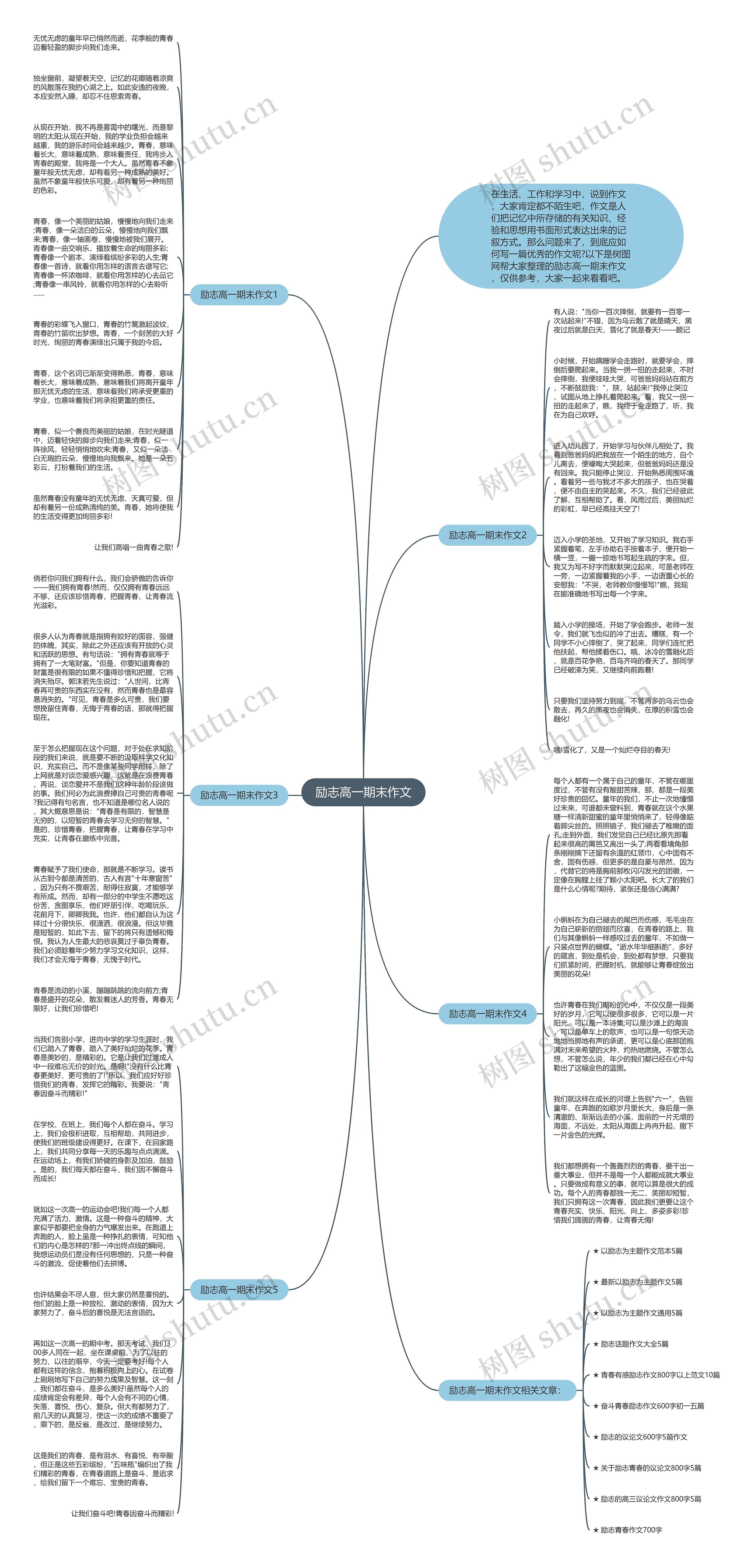 励志高一期末作文思维导图