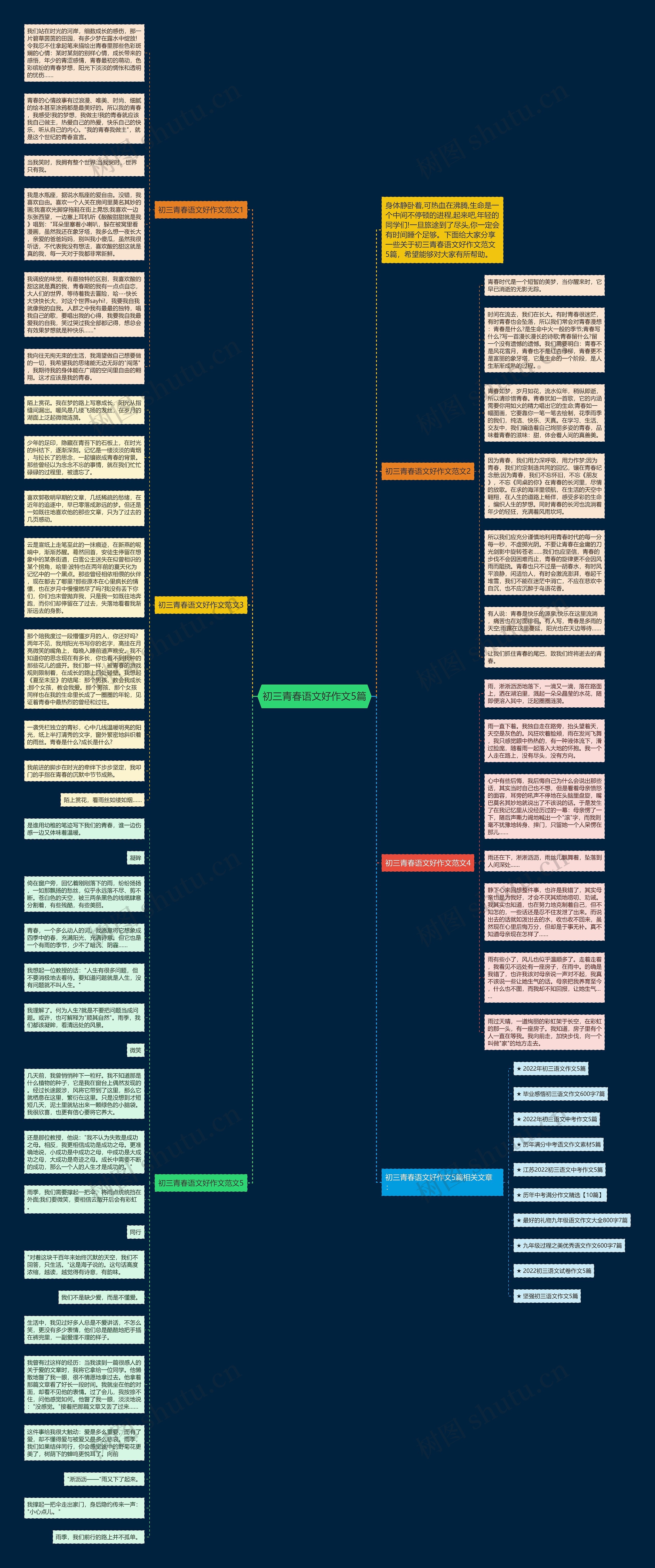 初三青春语文好作文5篇思维导图