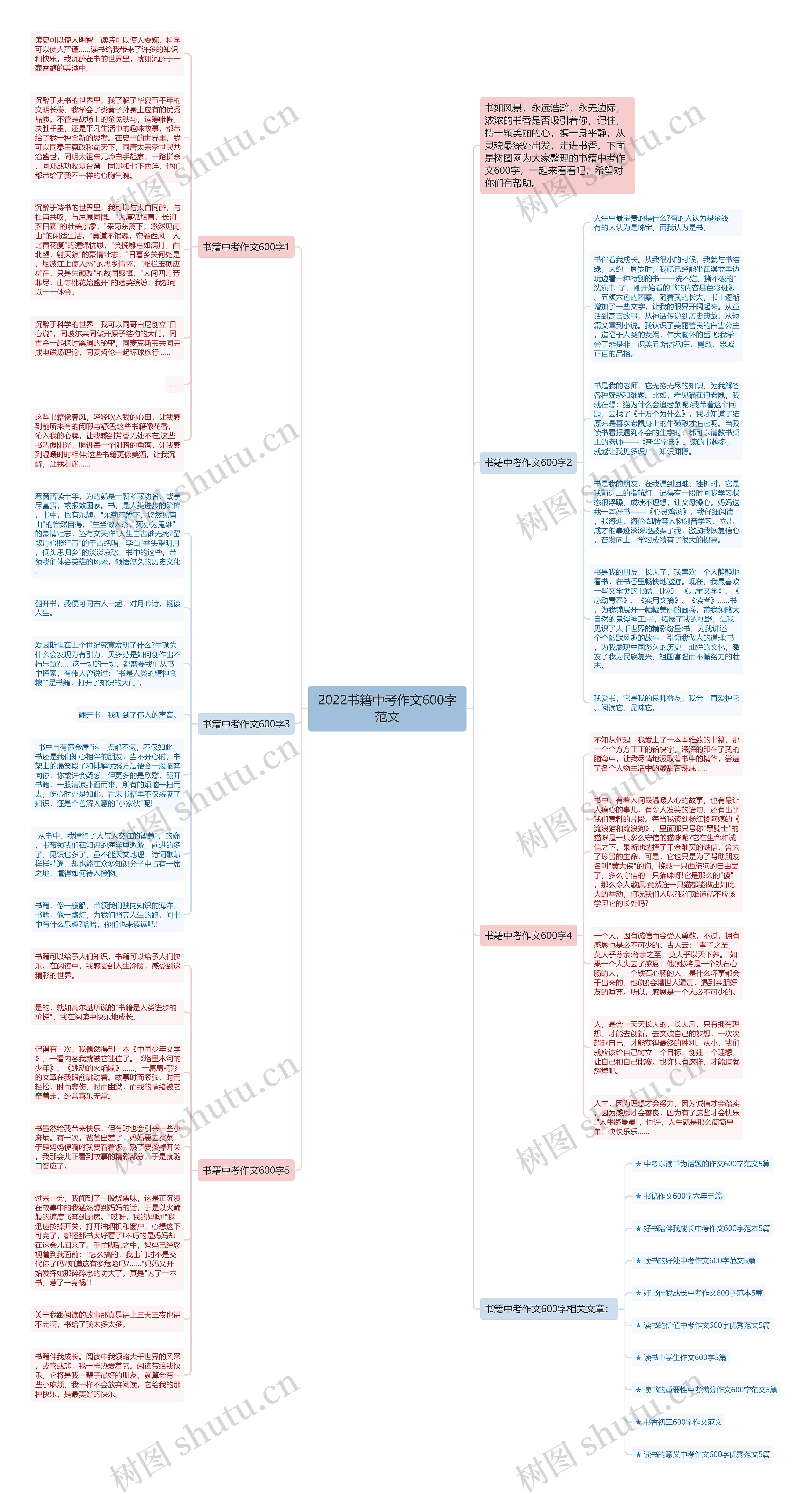 2022书籍中考作文600字范文思维导图