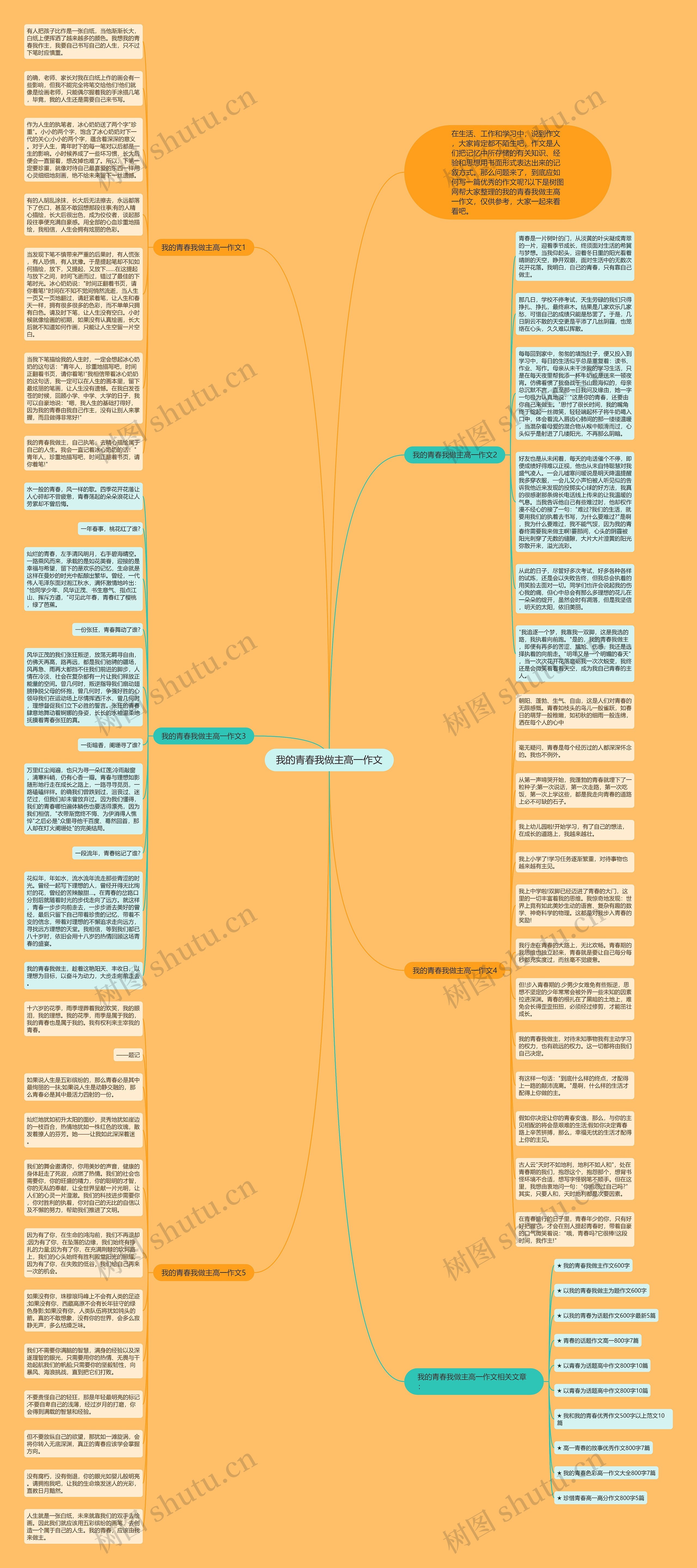 我的青春我做主高一作文思维导图