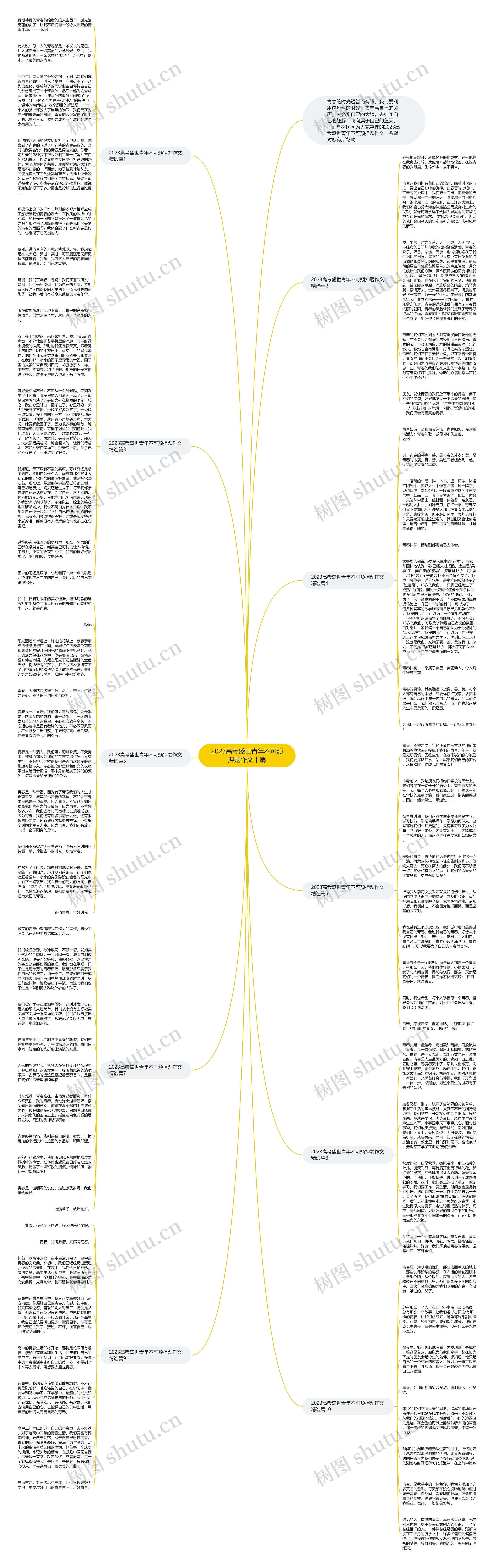 2023高考盛世青年不可颓押题作文十篇思维导图