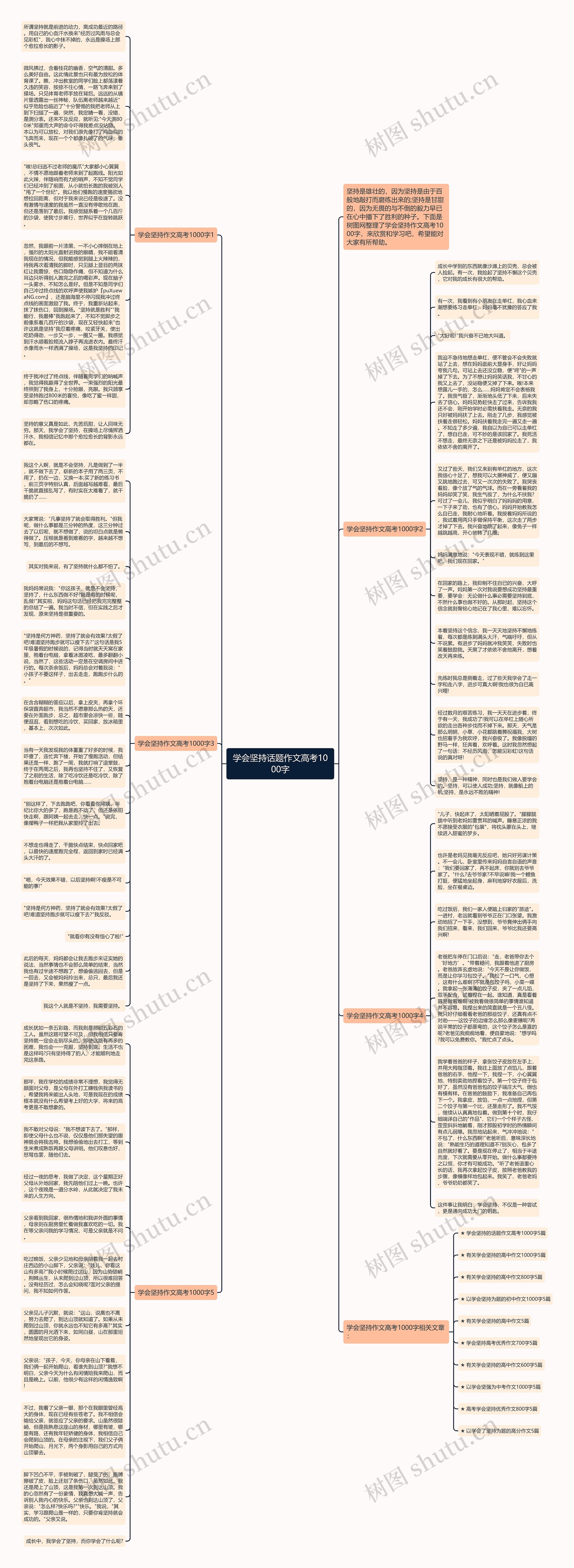 学会坚持话题作文高考1000字思维导图