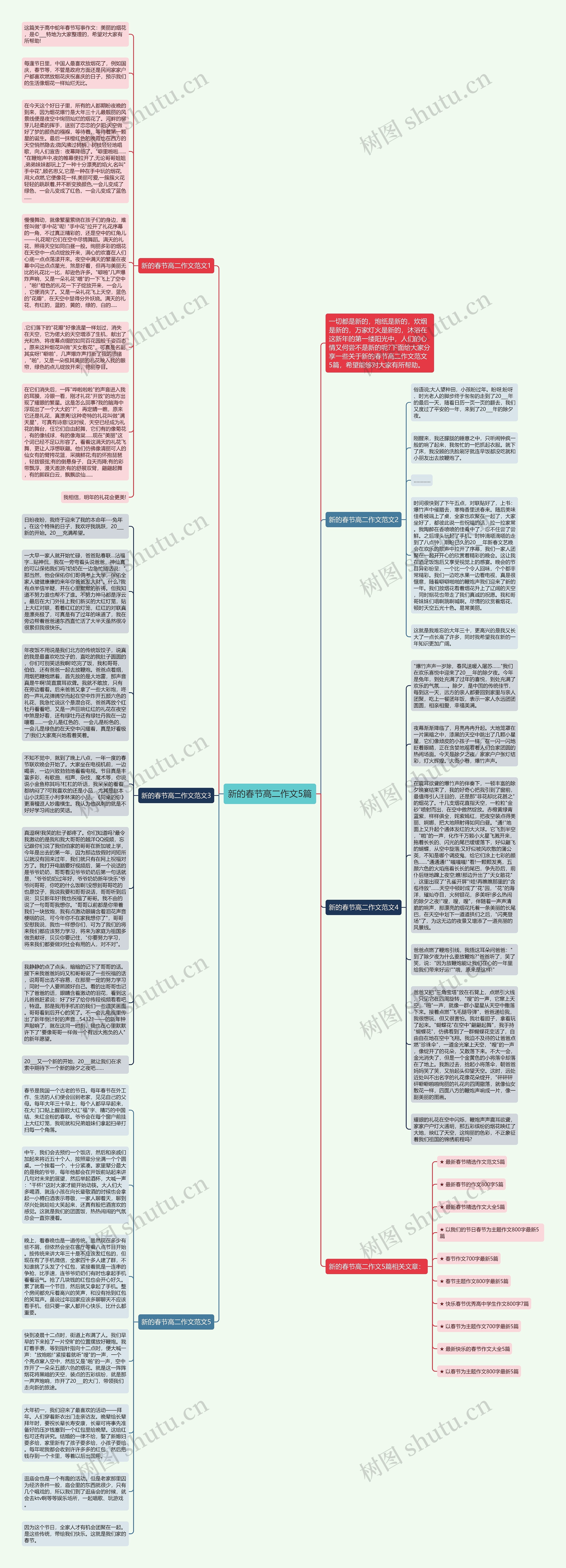 新的春节高二作文5篇思维导图