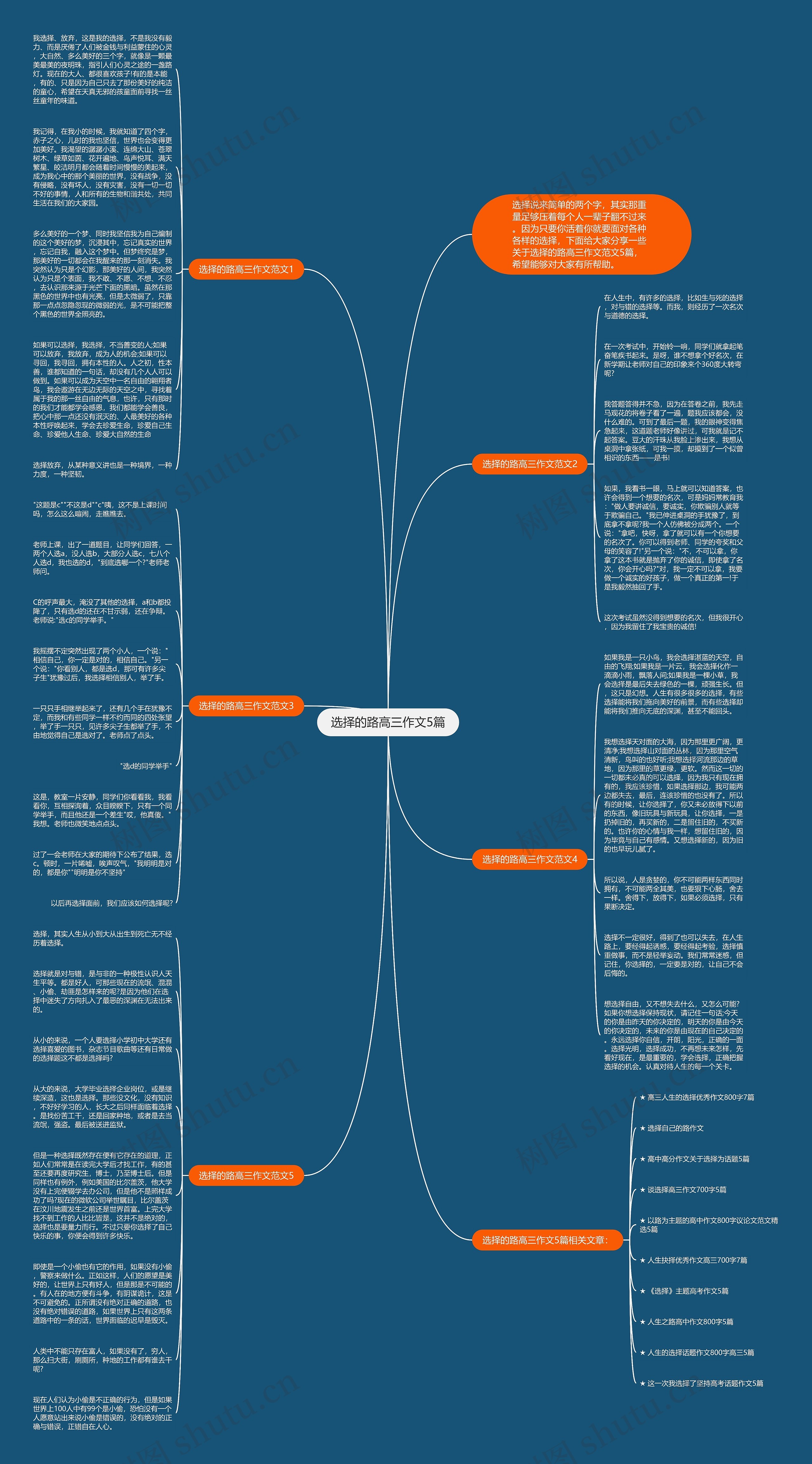 选择的路高三作文5篇思维导图