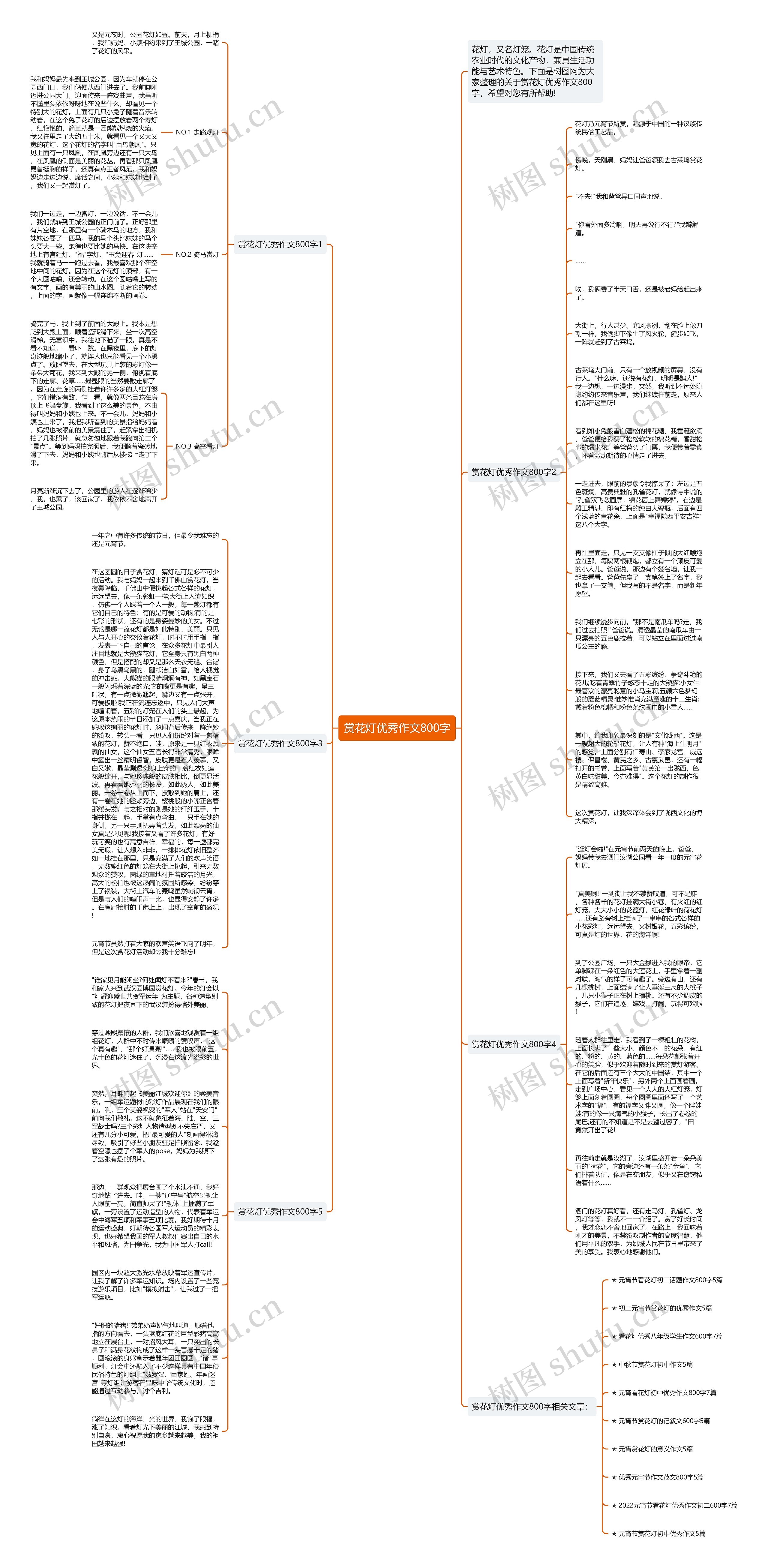 赏花灯优秀作文800字思维导图