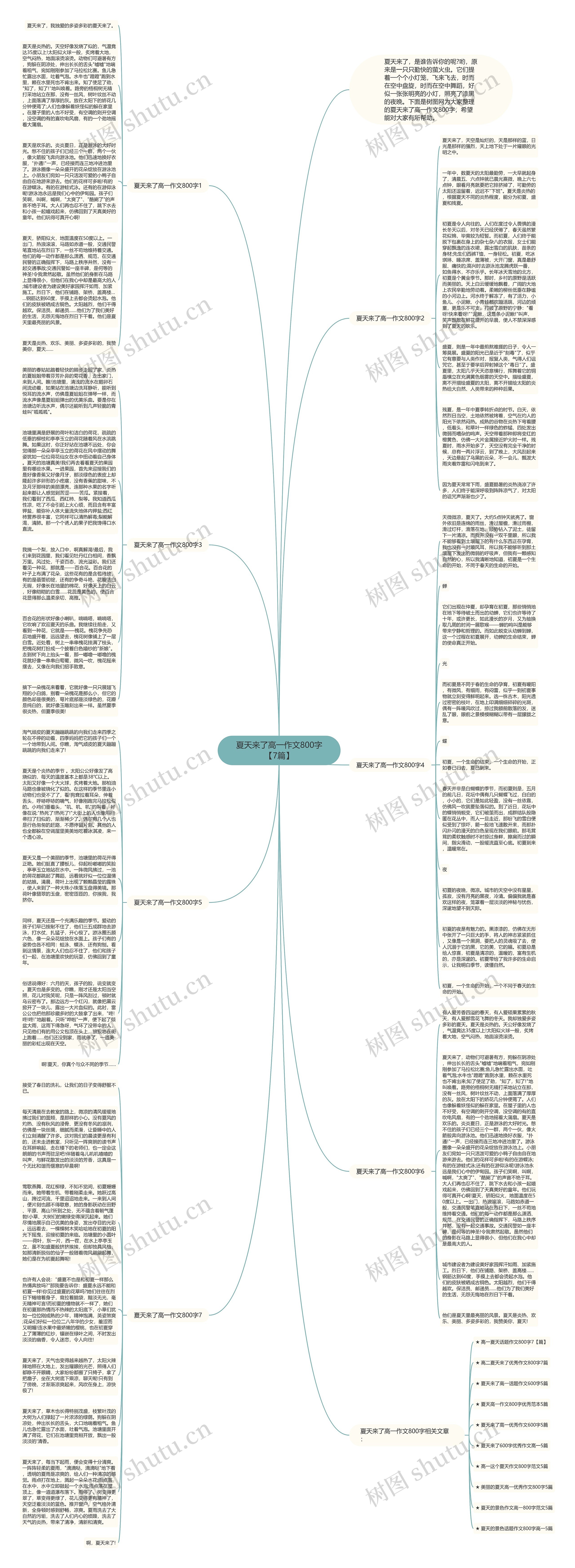 夏天来了高一作文800字【7篇】思维导图