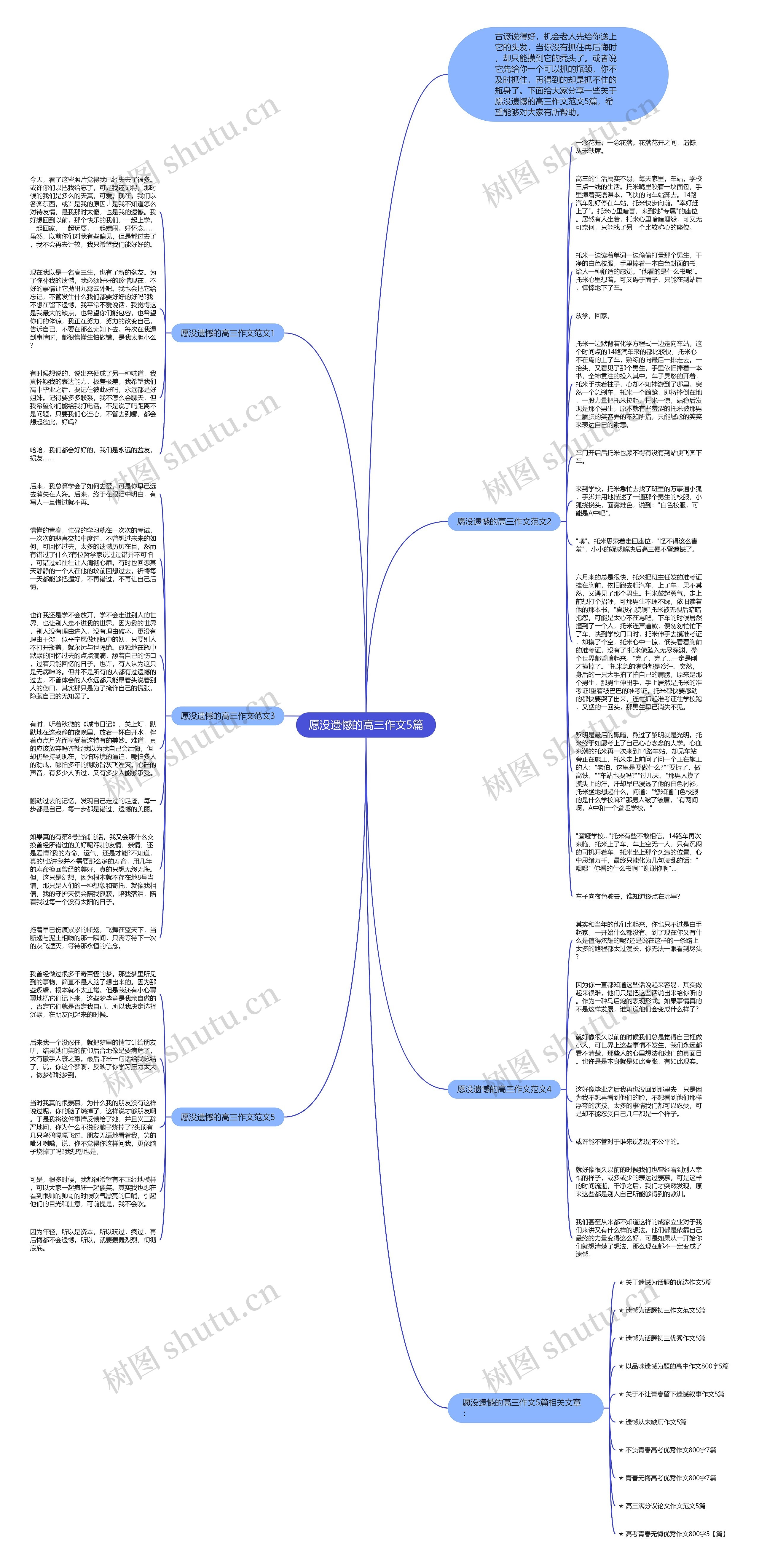 愿没遗憾的高三作文5篇思维导图