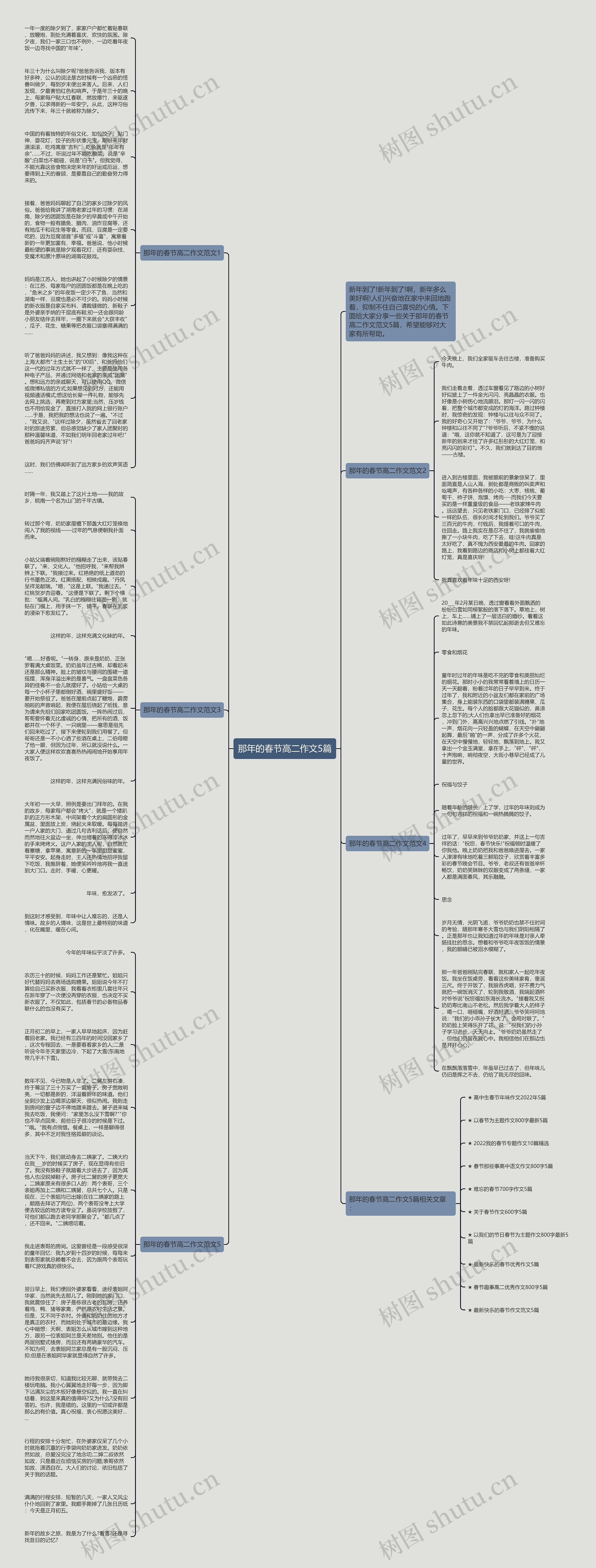 那年的春节高二作文5篇思维导图