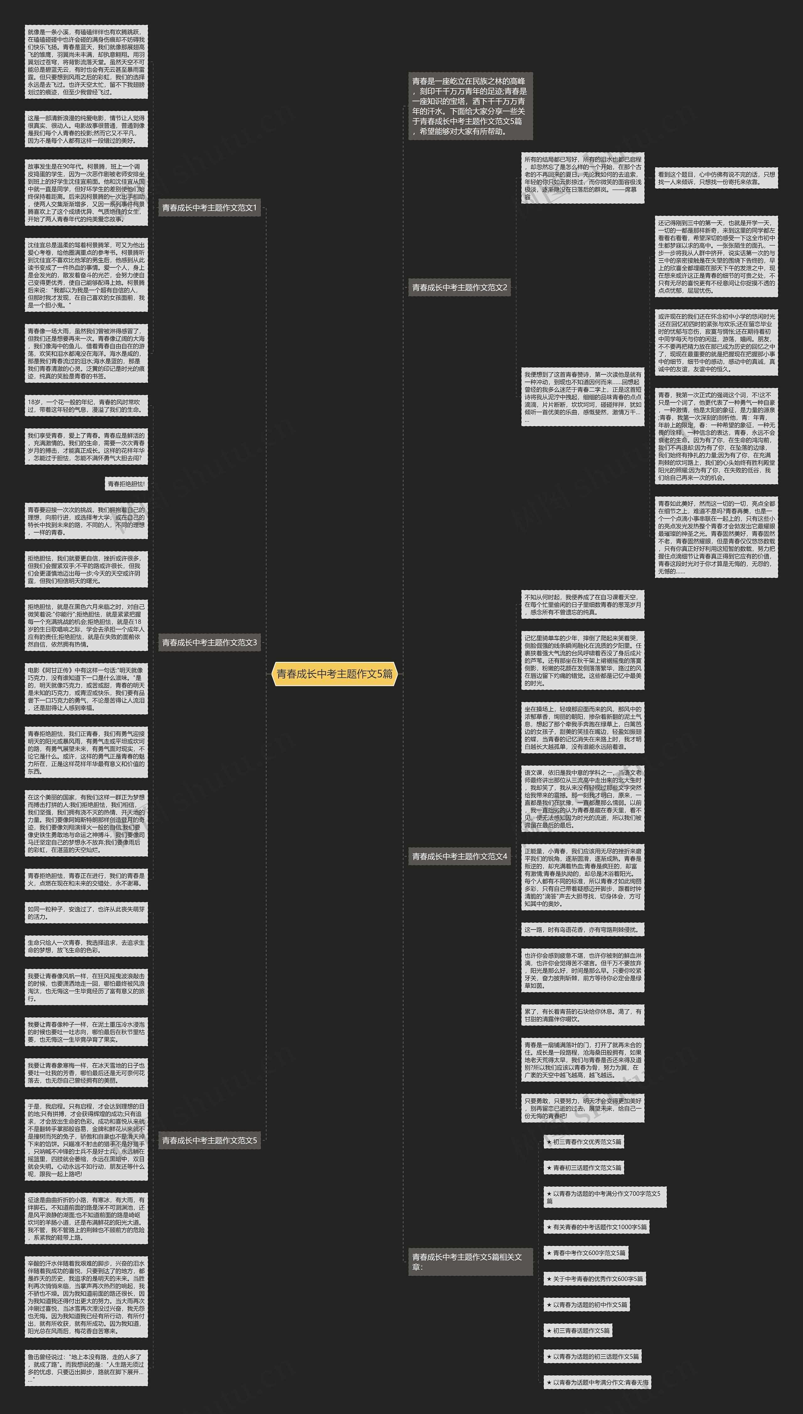 青春成长中考主题作文5篇思维导图