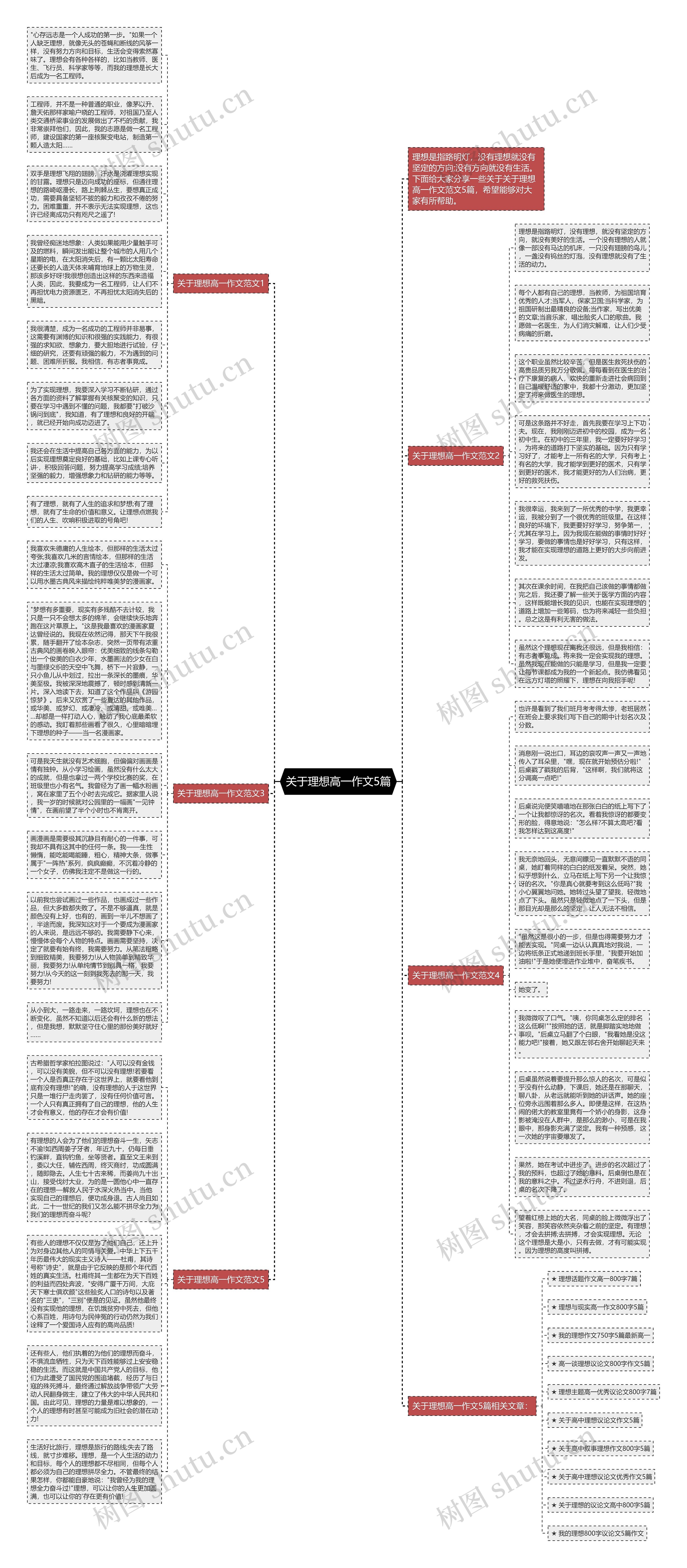 关于理想高一作文5篇思维导图