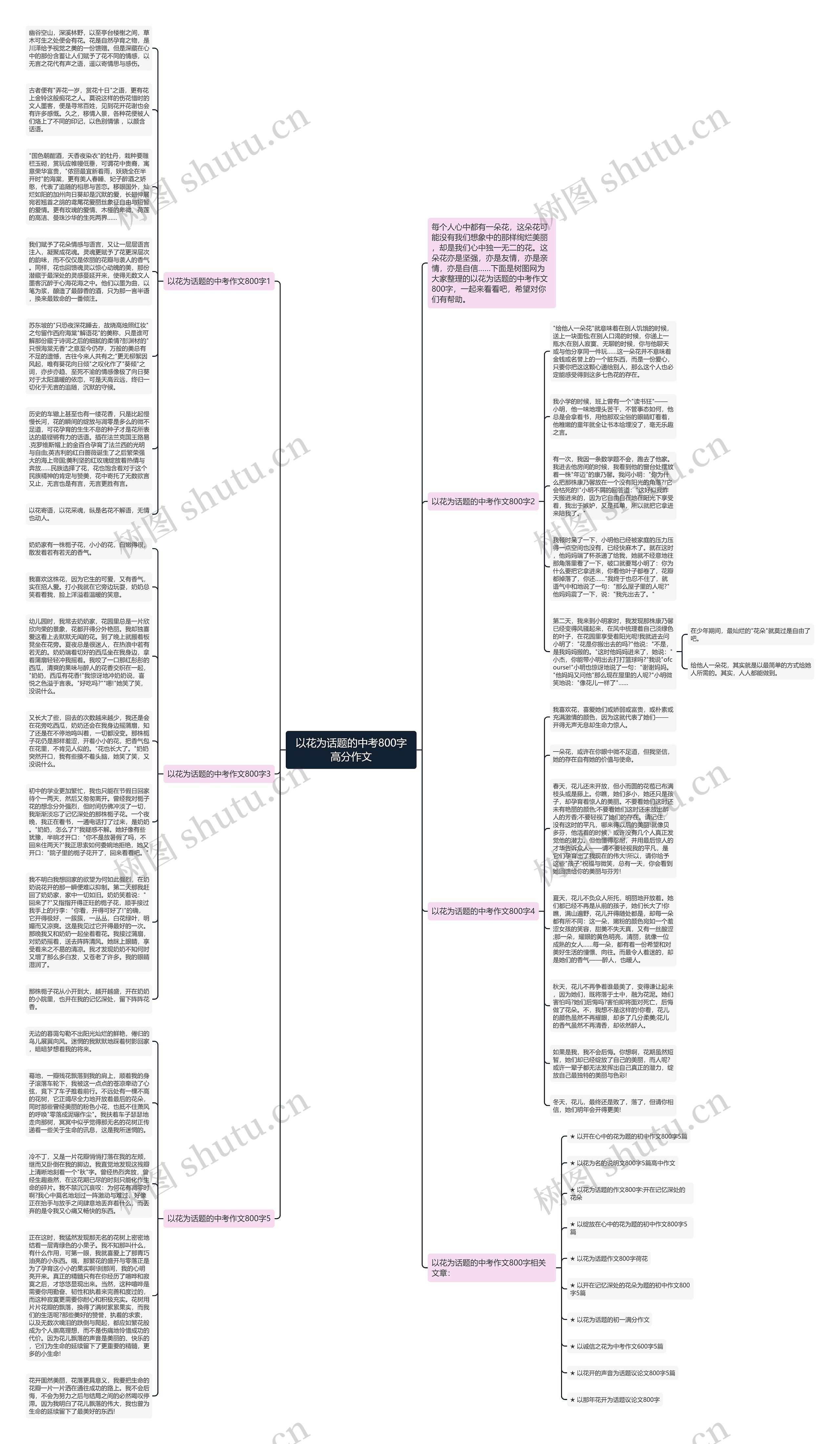 以花为话题的中考800字高分作文思维导图