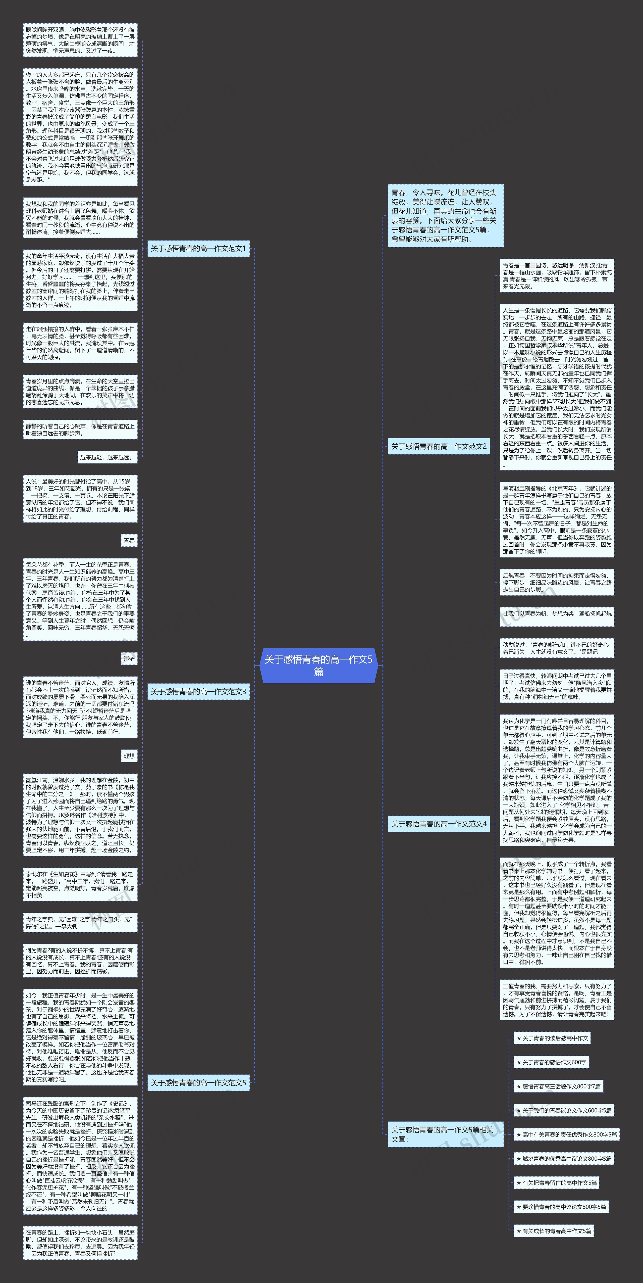 关于感悟青春的高一作文5篇思维导图