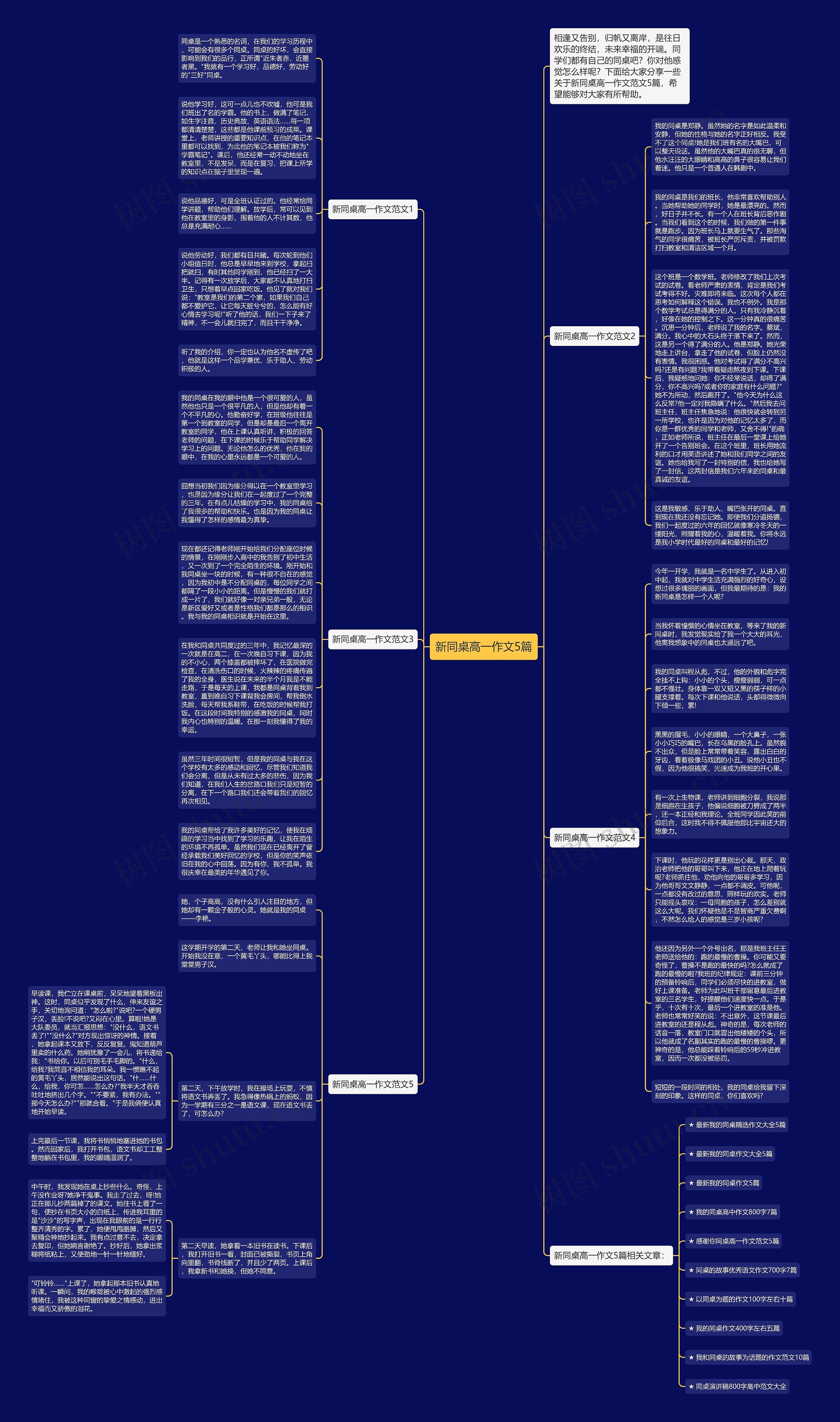 新同桌高一作文5篇思维导图
