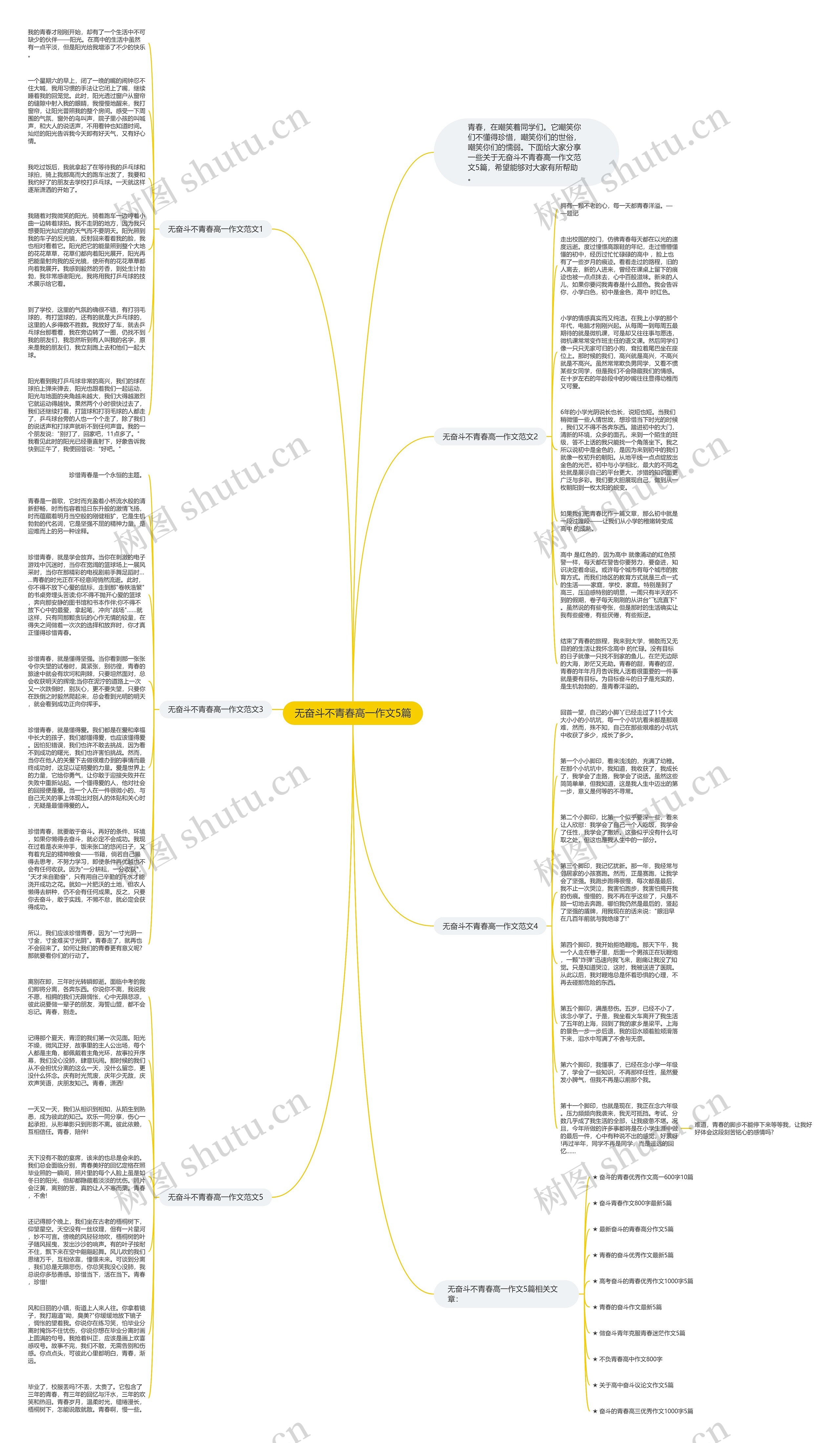 无奋斗不青春高一作文5篇思维导图