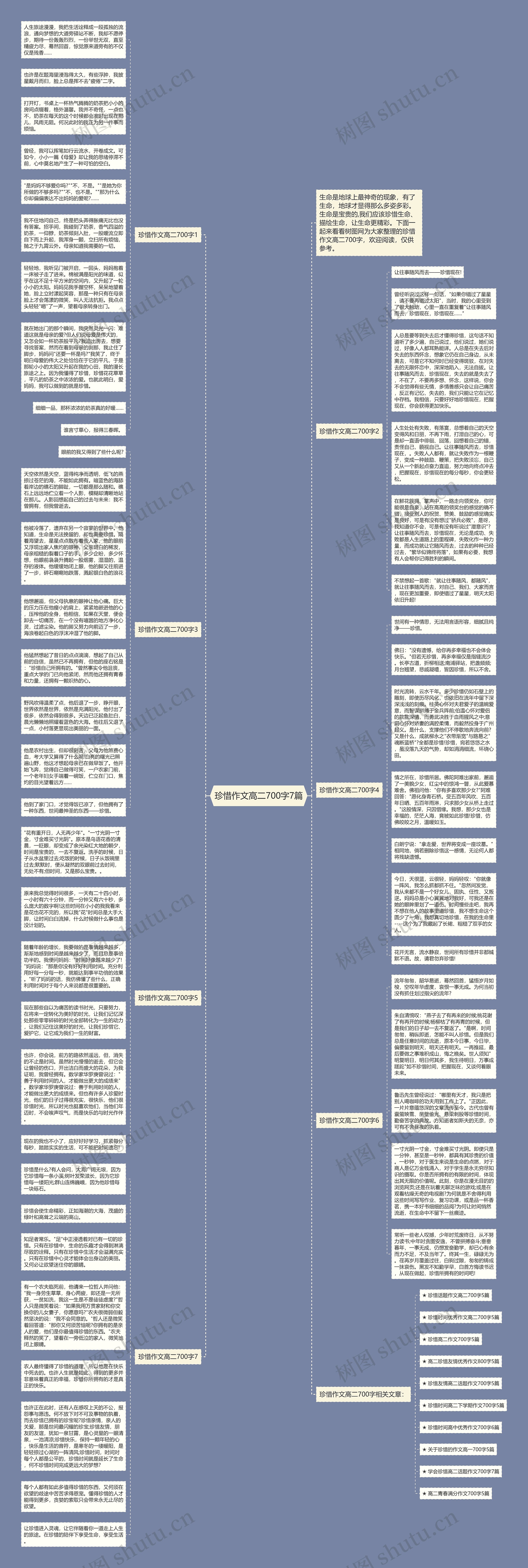 珍惜作文高二700字7篇思维导图