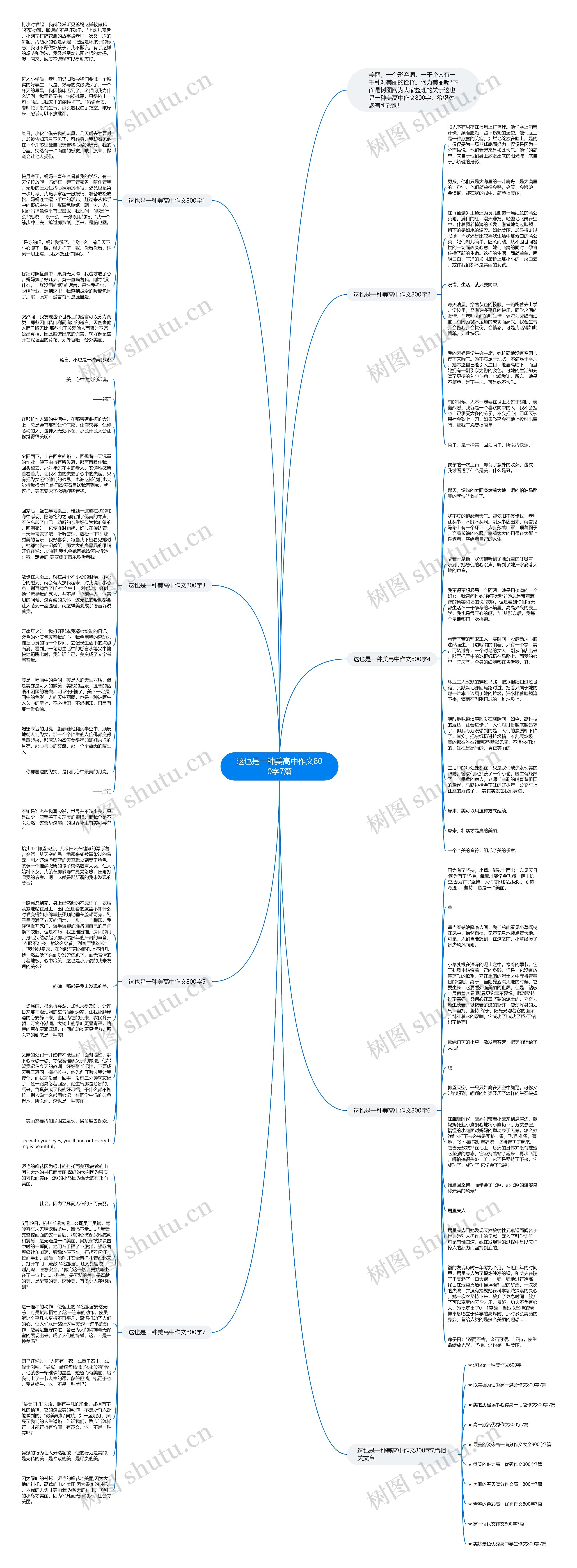 这也是一种美高中作文800字7篇思维导图