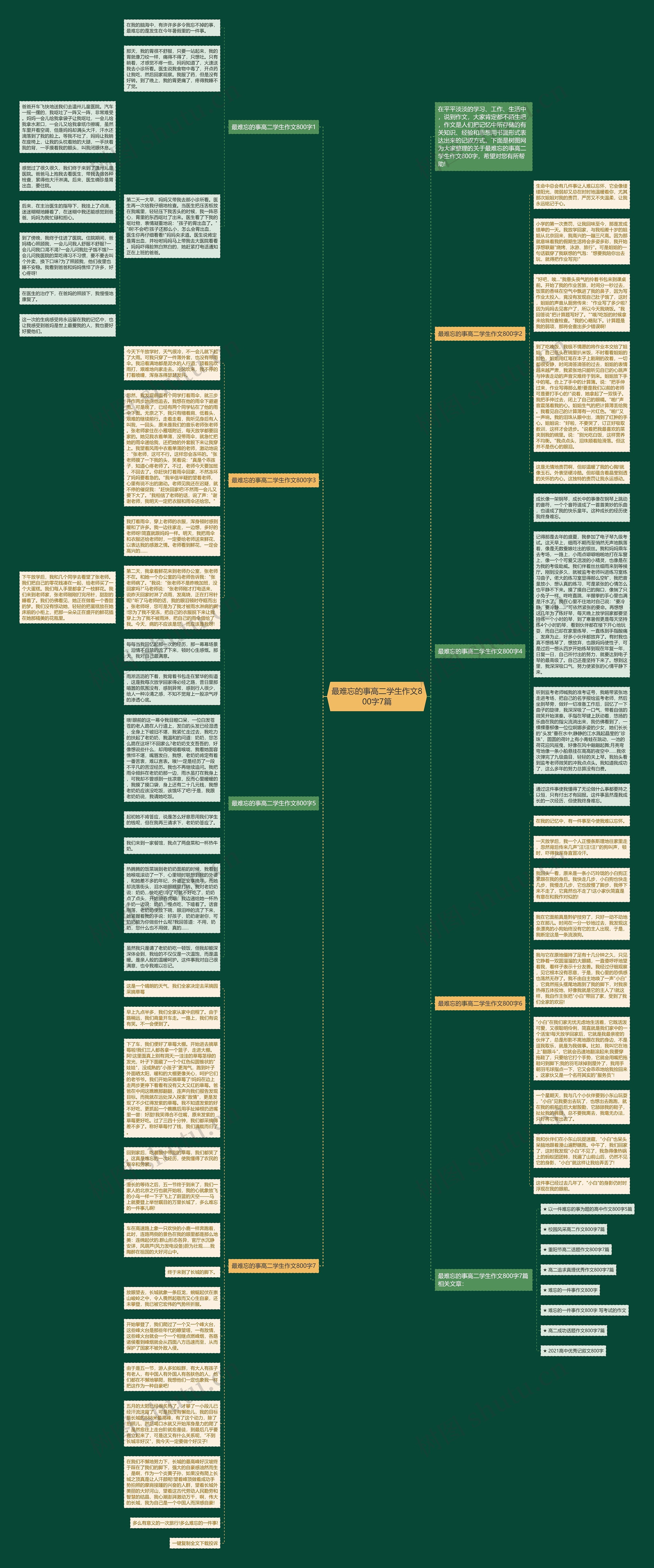 最难忘的事高二学生作文800字7篇思维导图