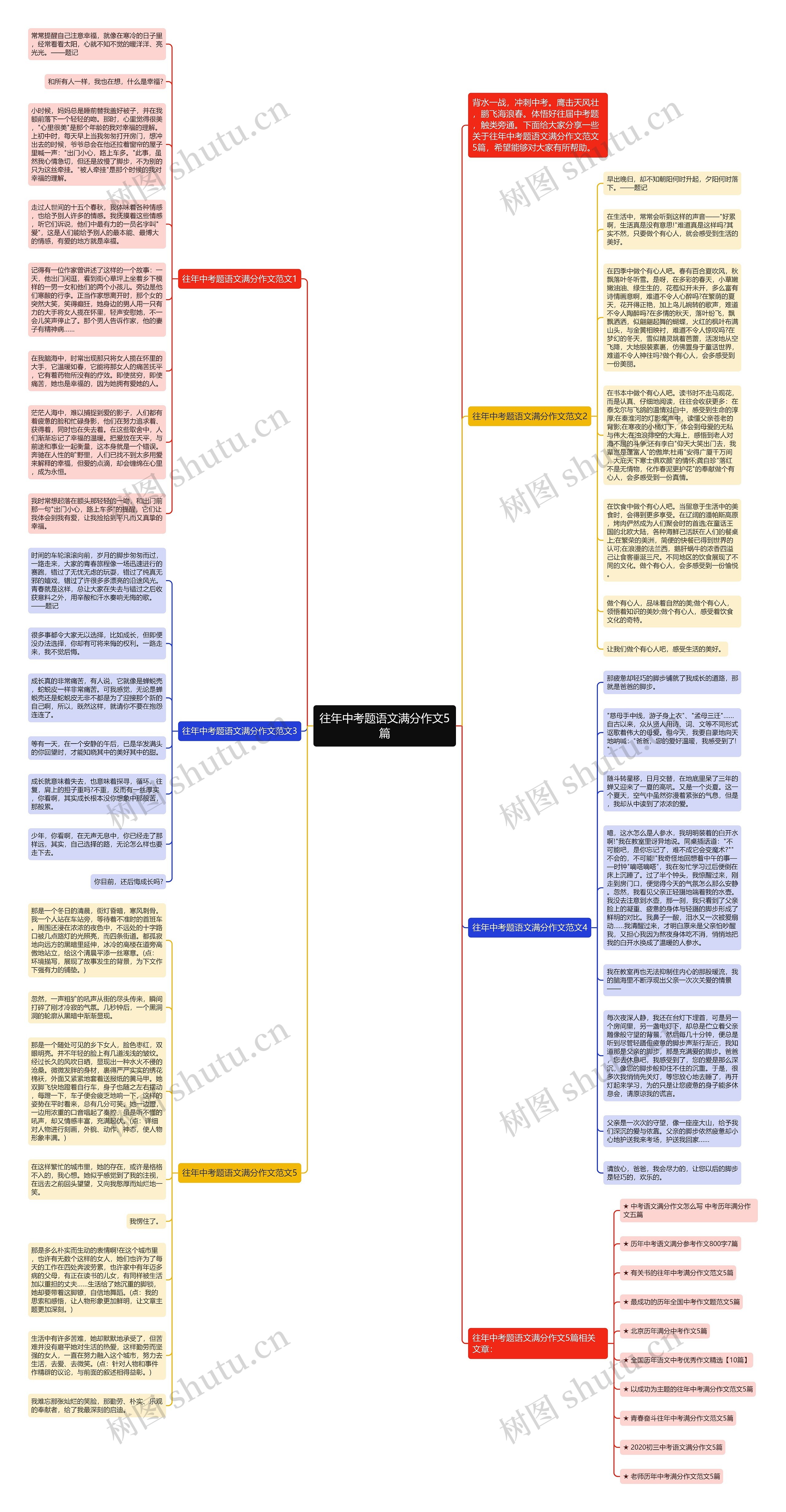 往年中考题语文满分作文5篇思维导图