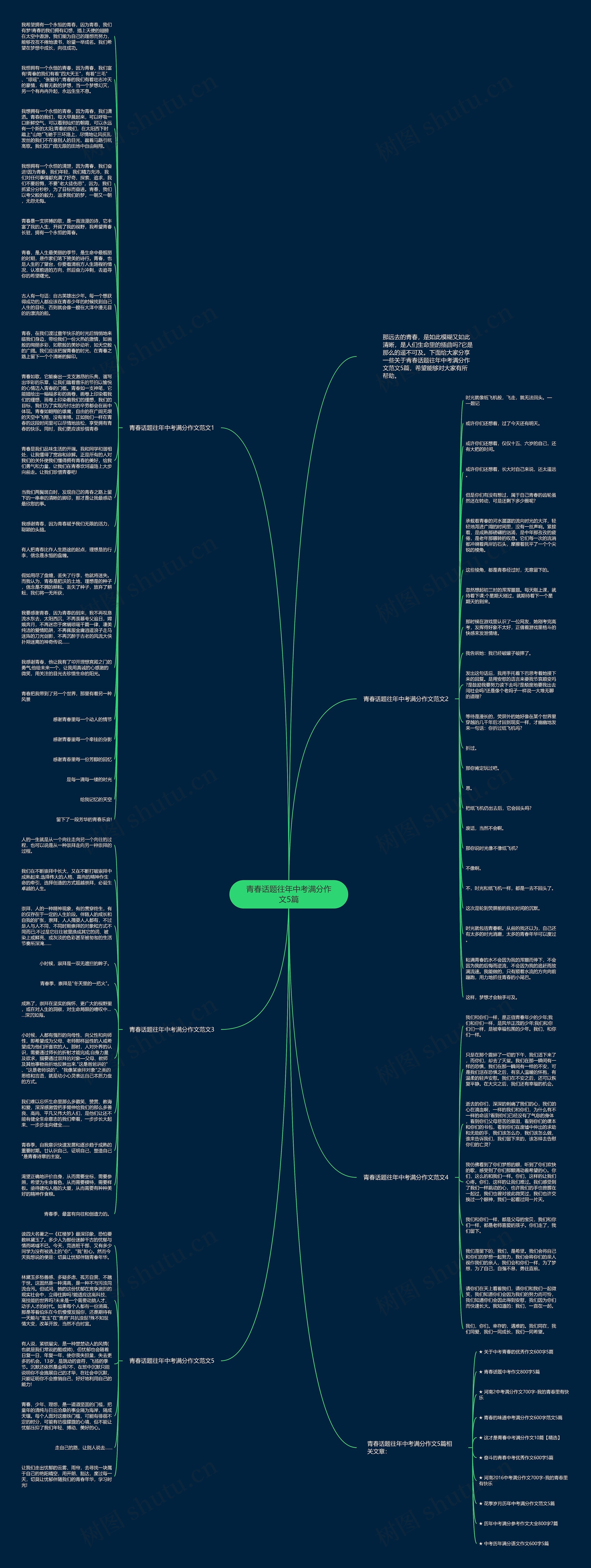 青春话题往年中考满分作文5篇思维导图