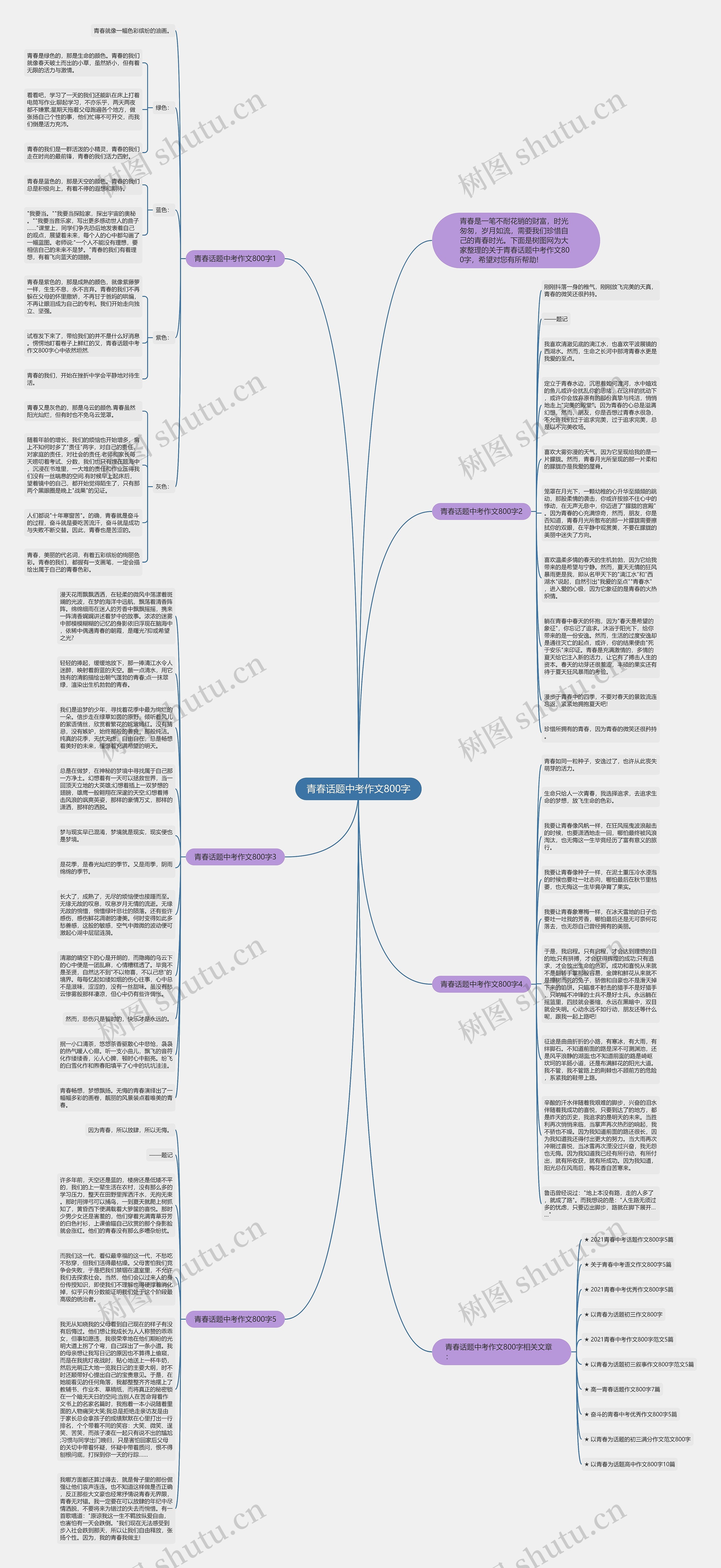 青春话题中考作文800字思维导图