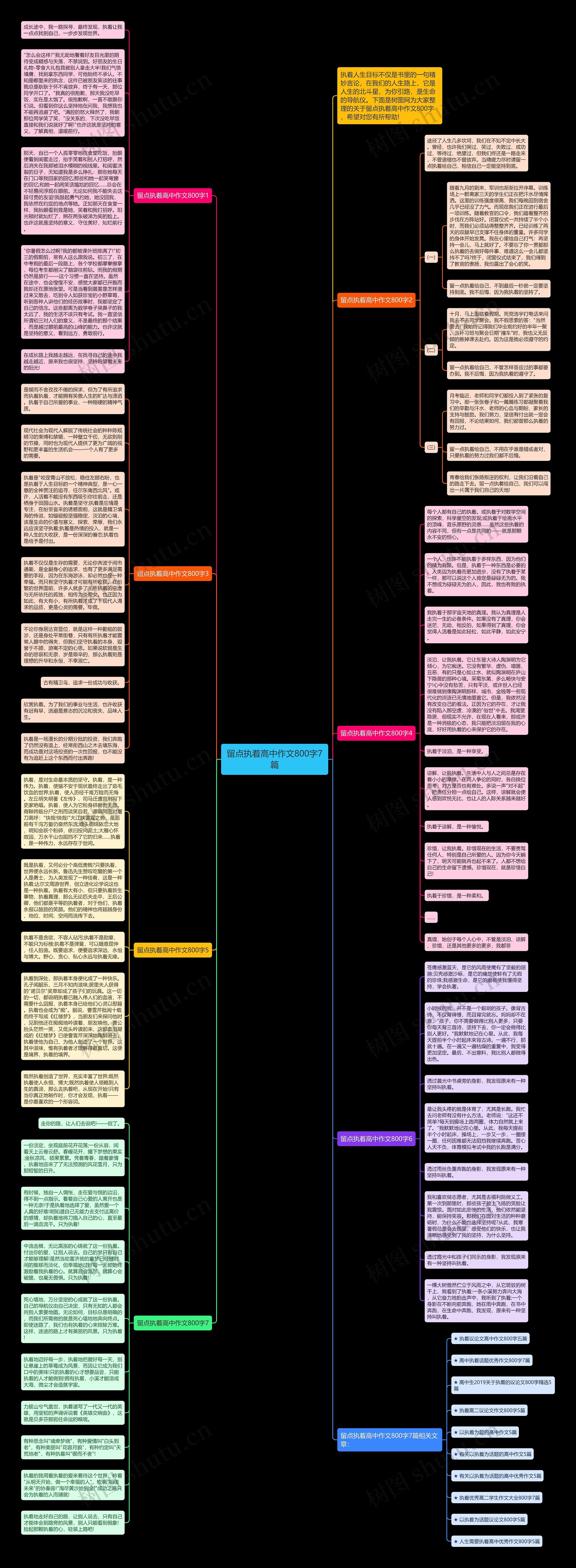 留点执着高中作文800字7篇思维导图