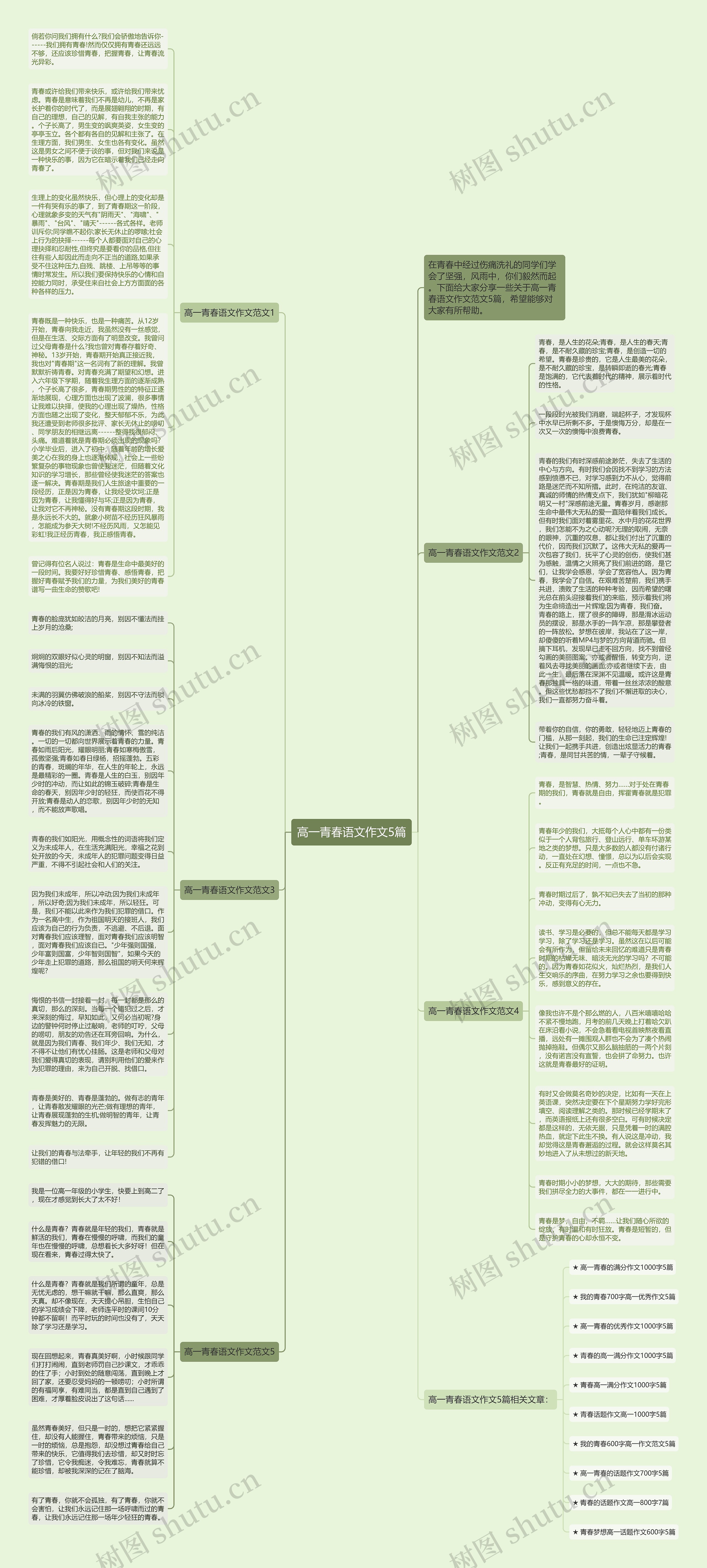 高一青春语文作文5篇思维导图
