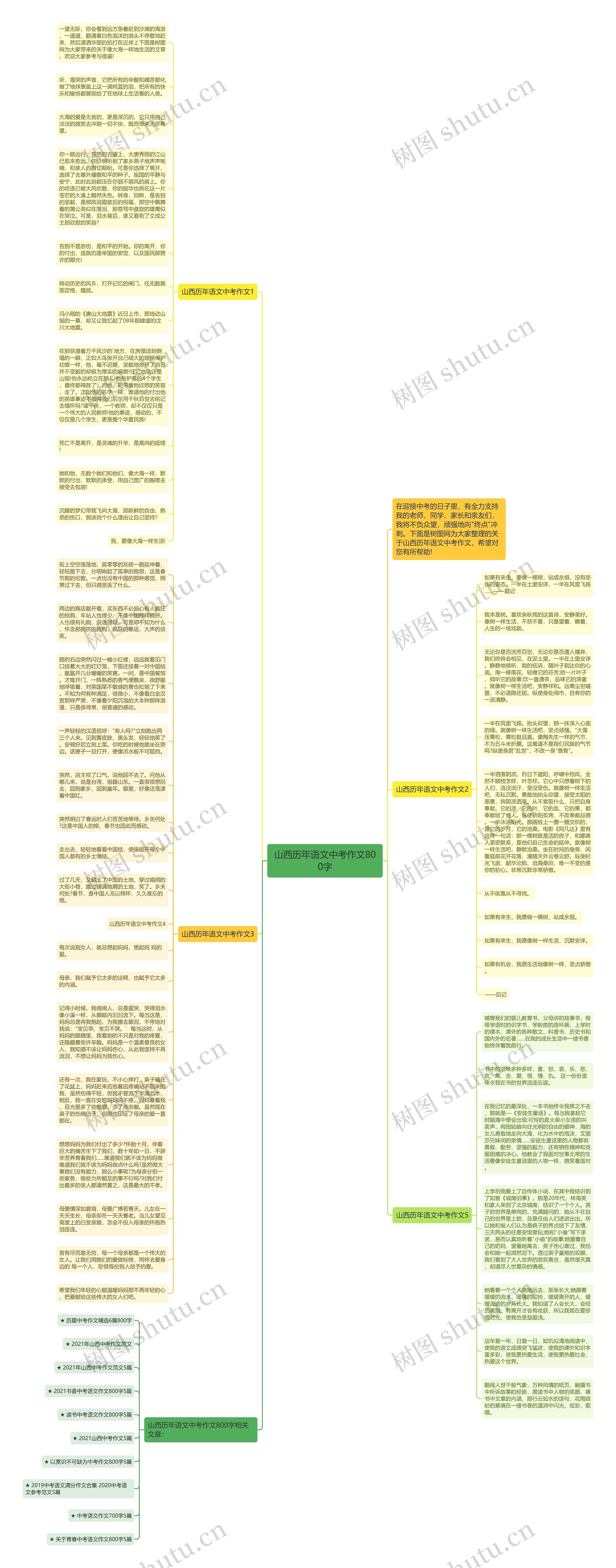 山西历年语文中考作文800字思维导图