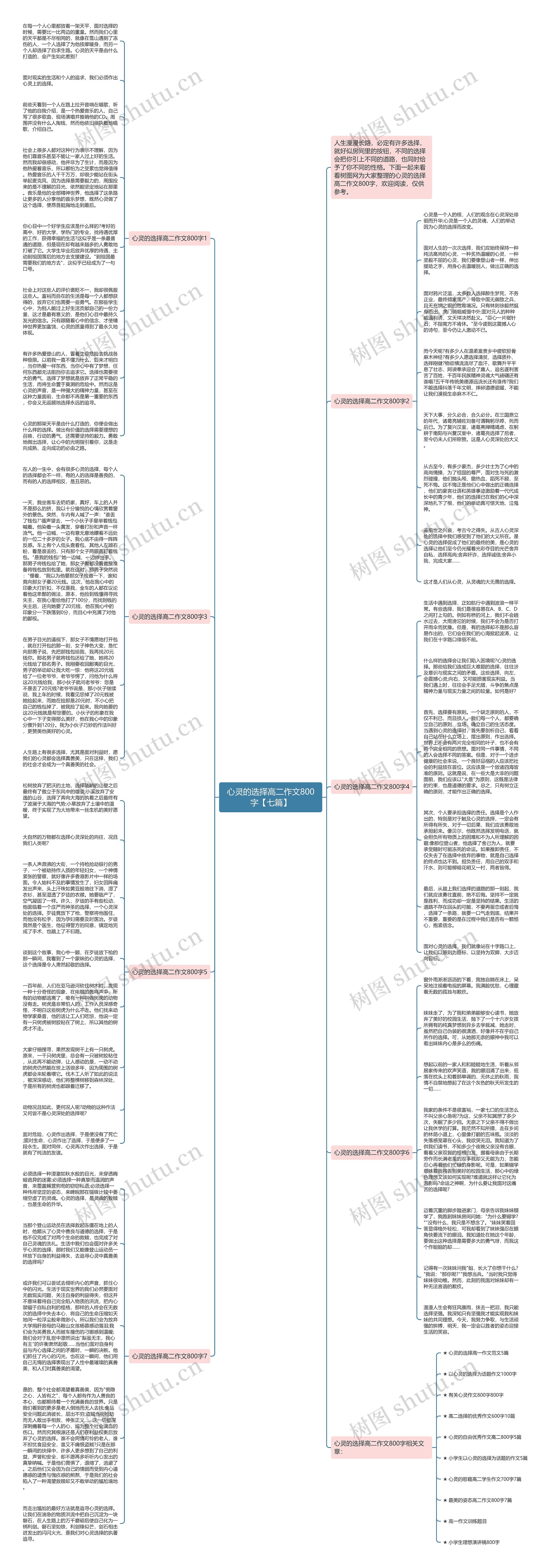 心灵的选择高二作文800字【七篇】思维导图