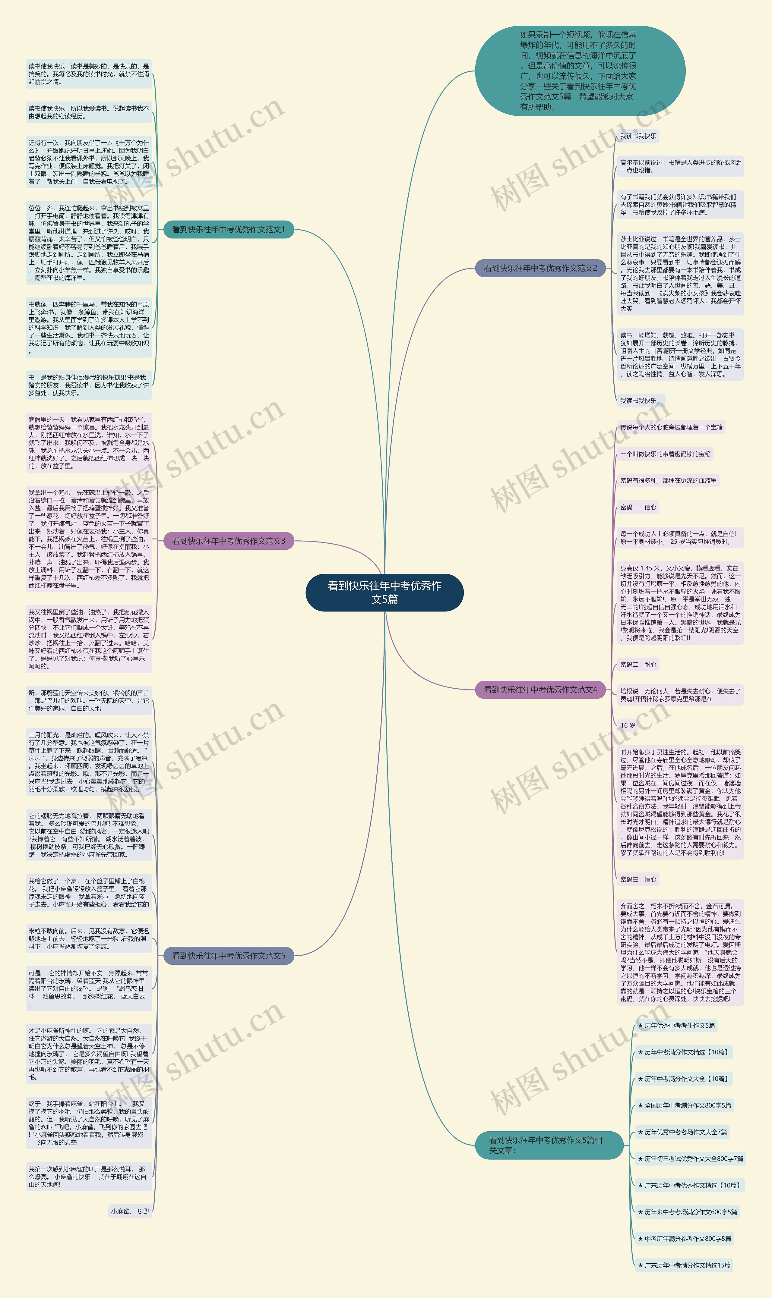 看到快乐往年中考优秀作文5篇思维导图