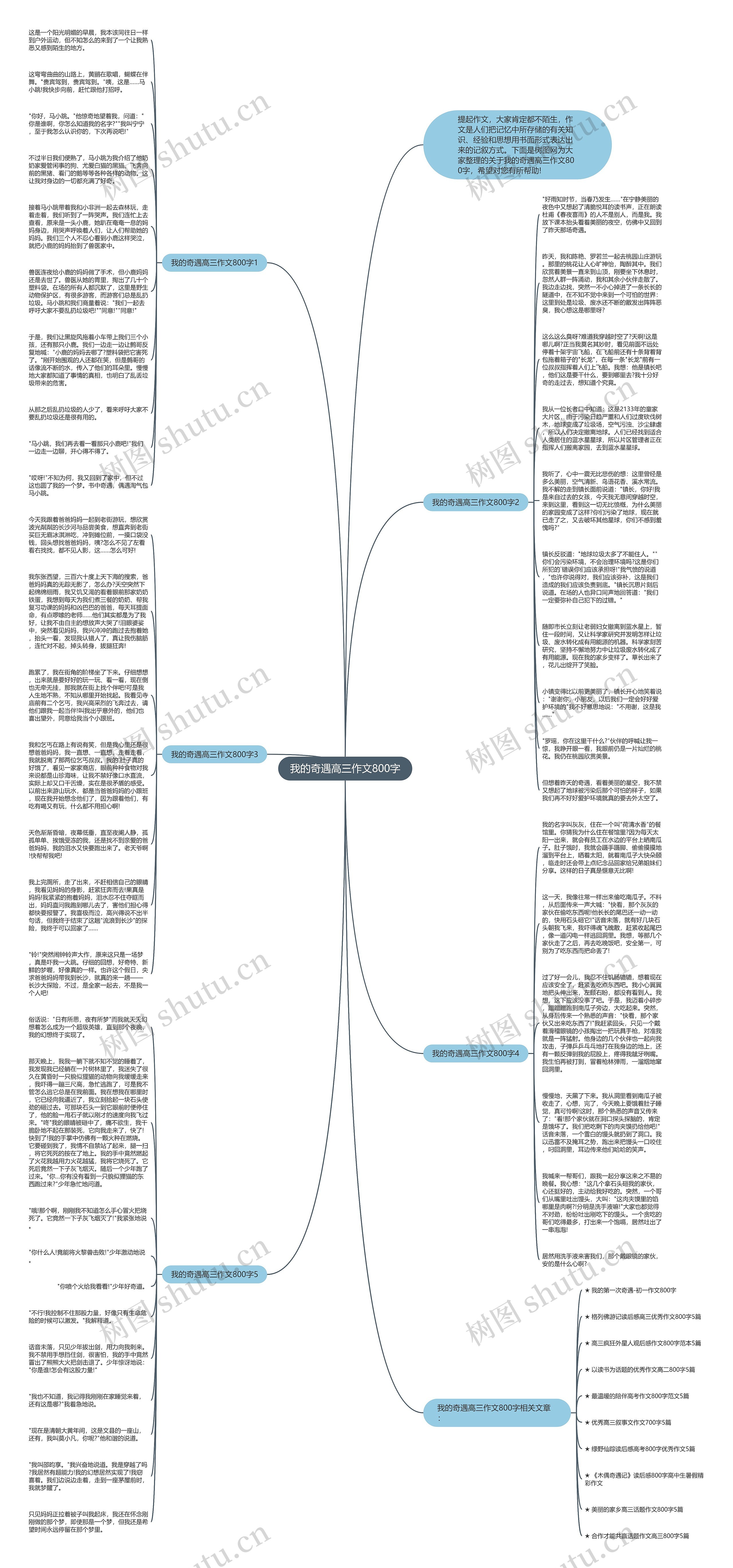 我的奇遇高三作文800字思维导图