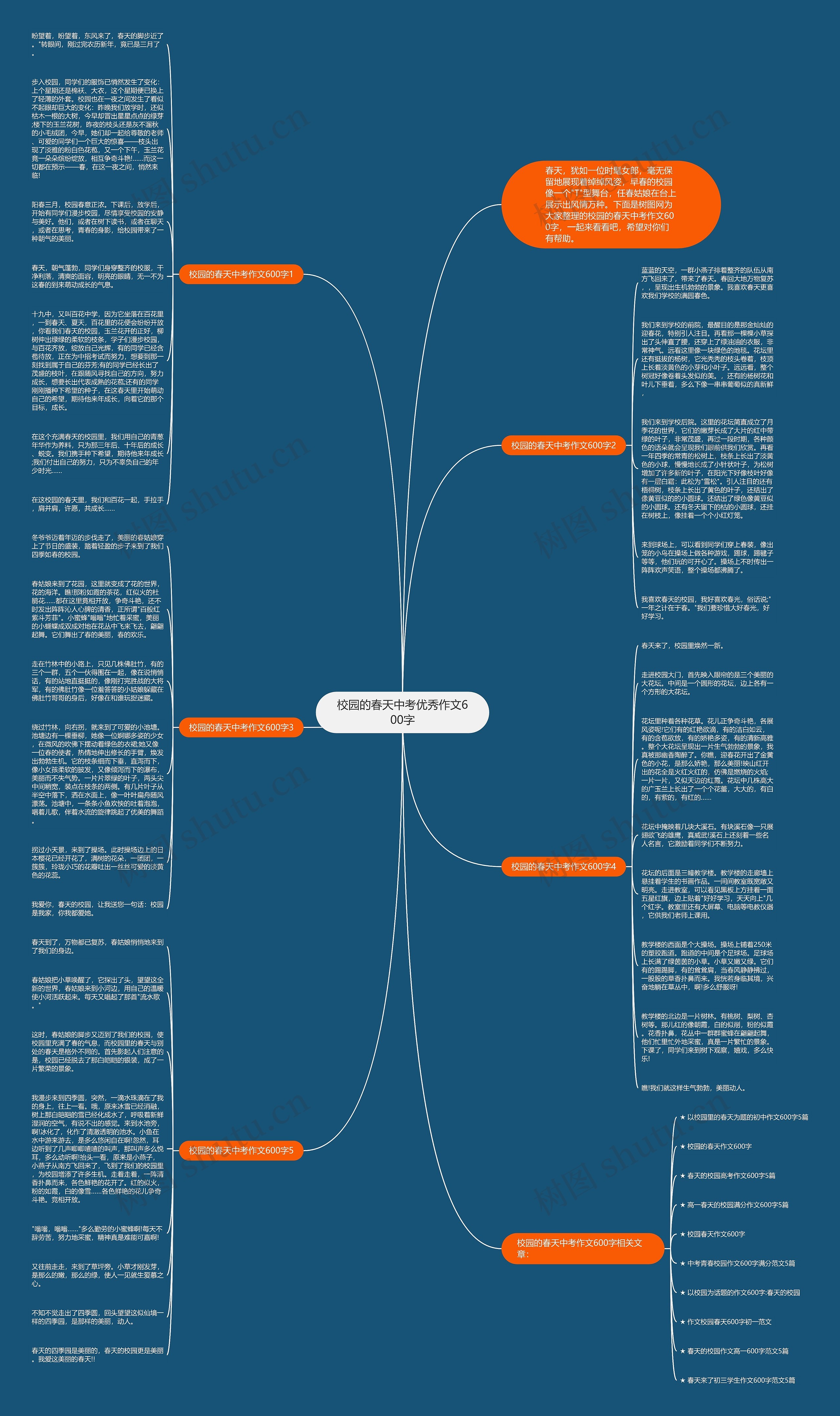 校园的春天中考优秀作文600字思维导图