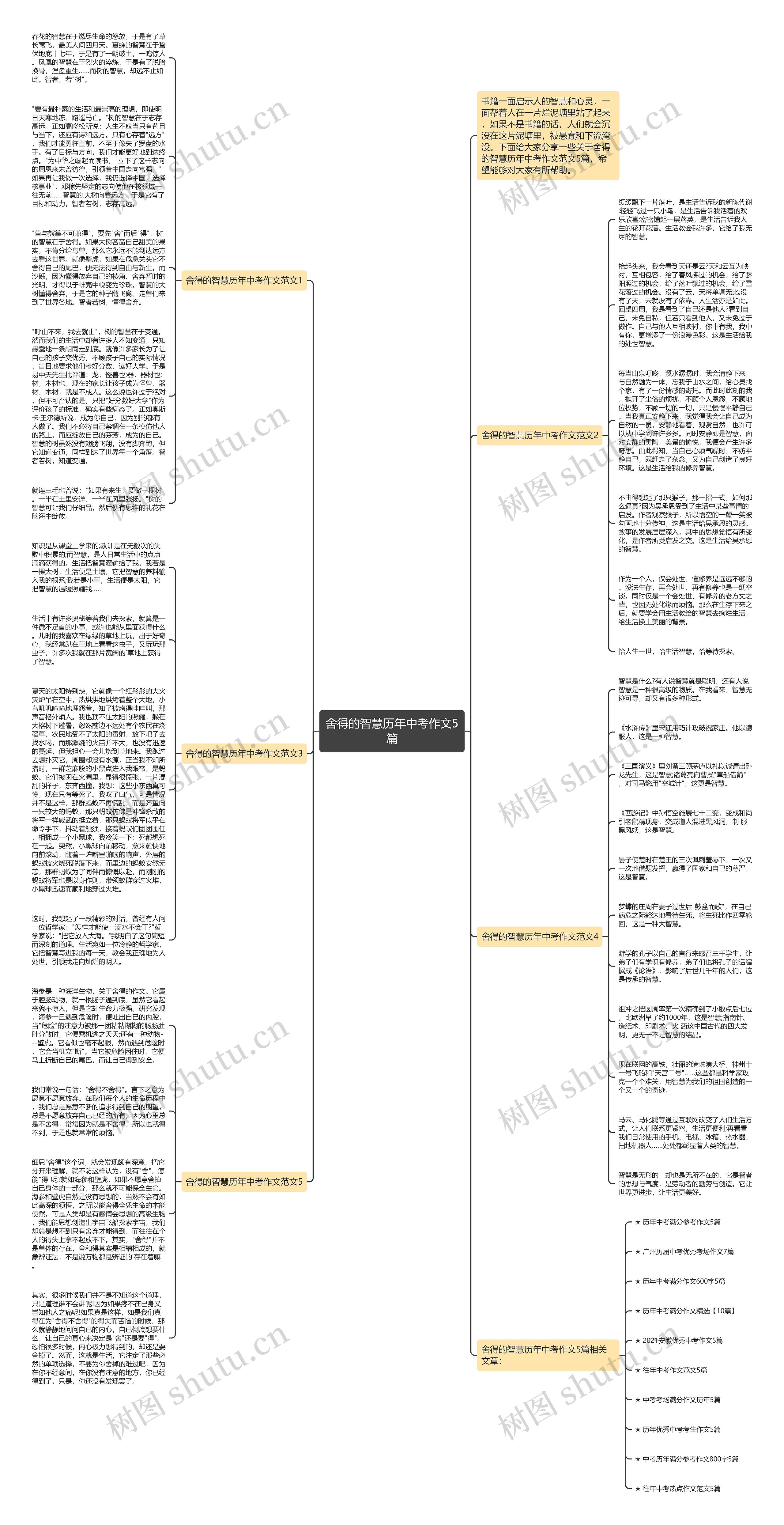舍得的智慧历年中考作文5篇思维导图