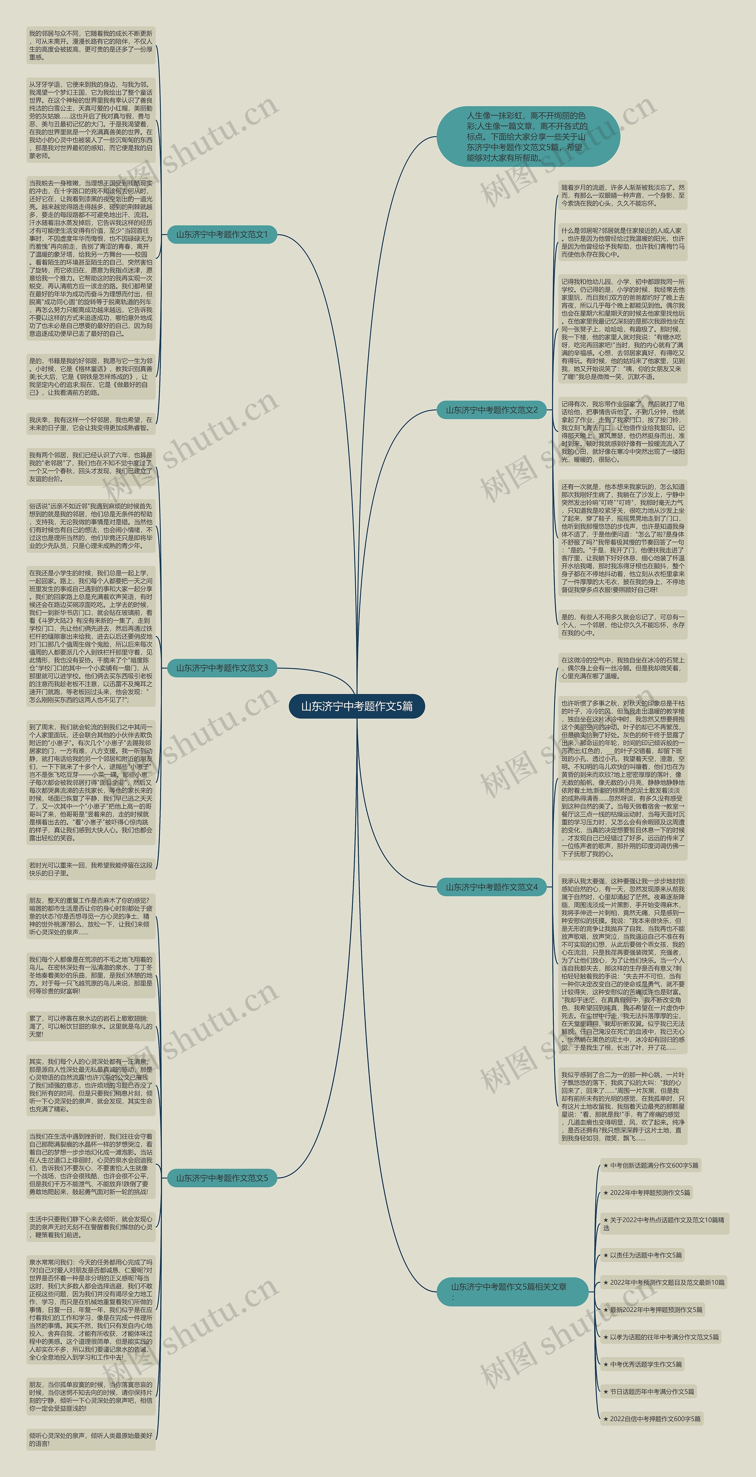 山东济宁中考题作文5篇思维导图