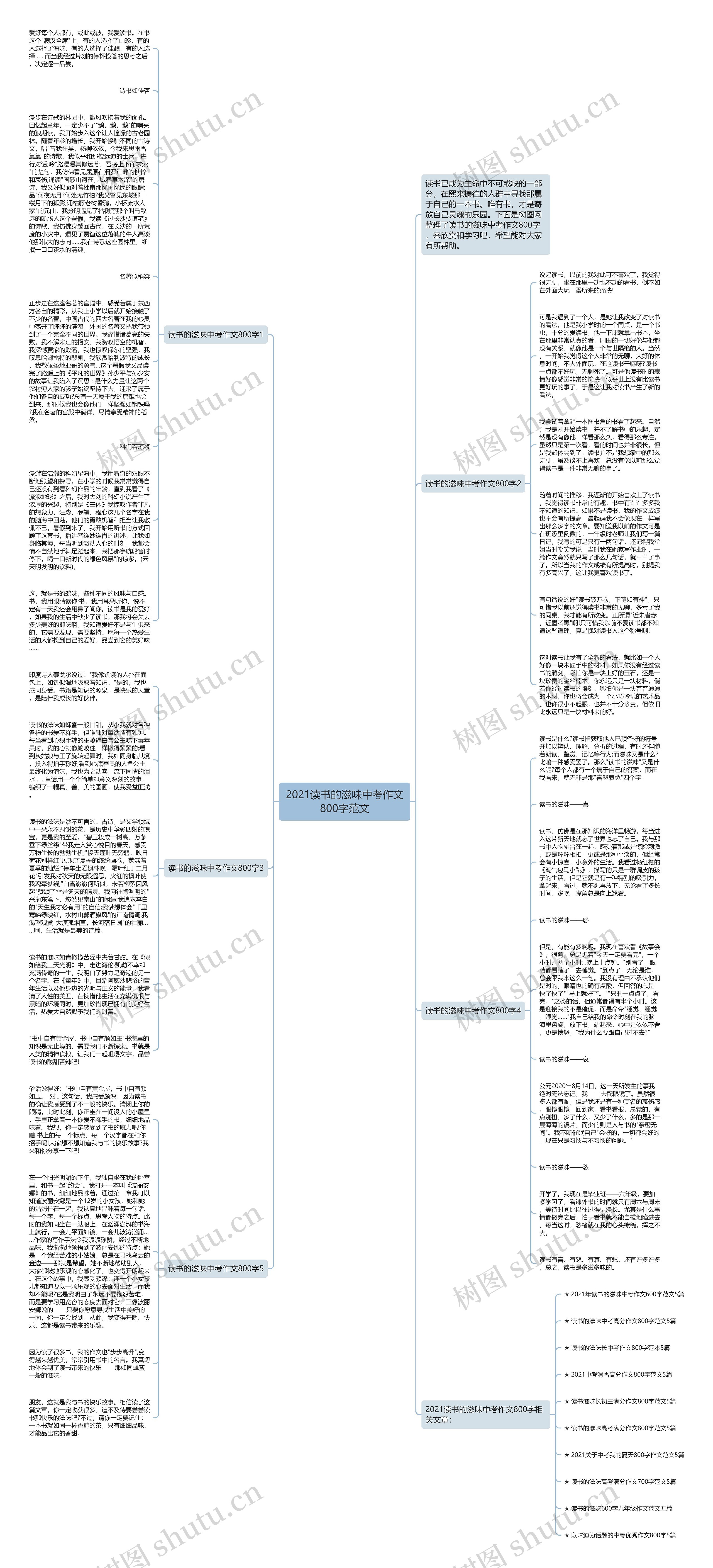 2021读书的滋味中考作文800字范文思维导图