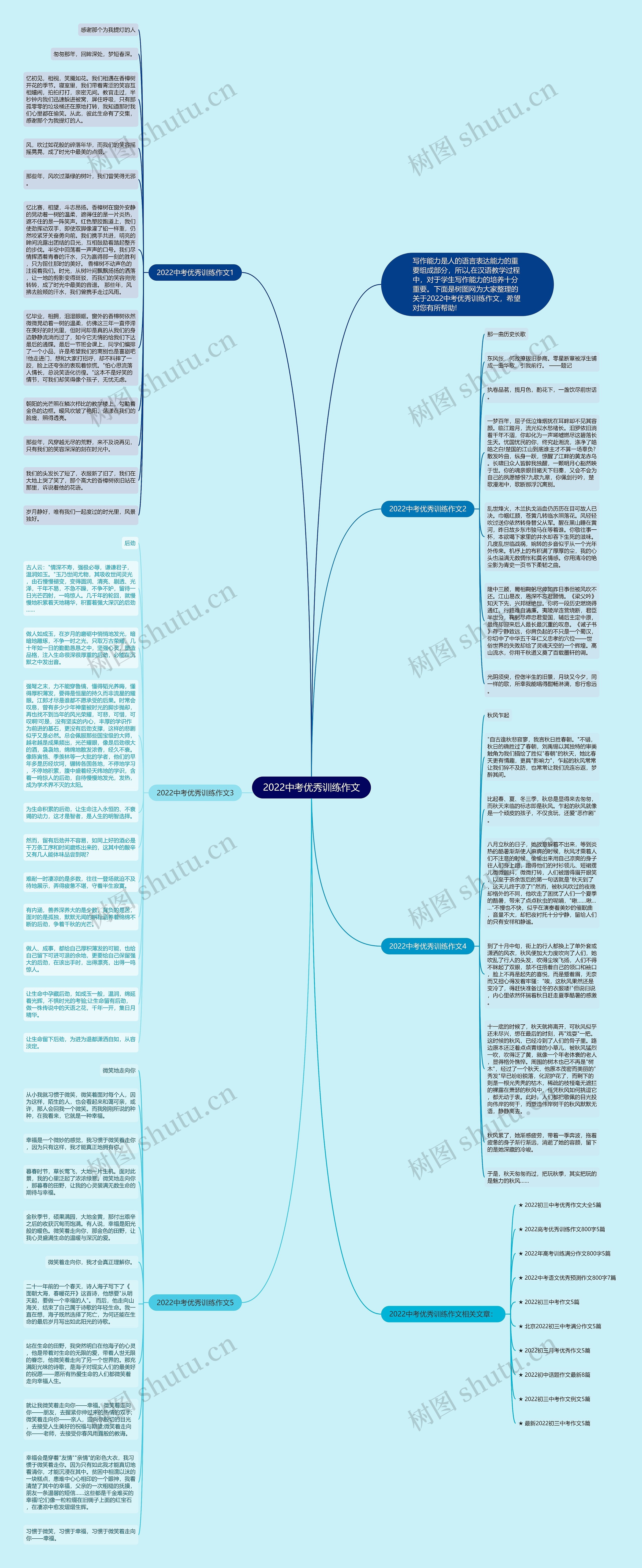 2022中考优秀训练作文思维导图