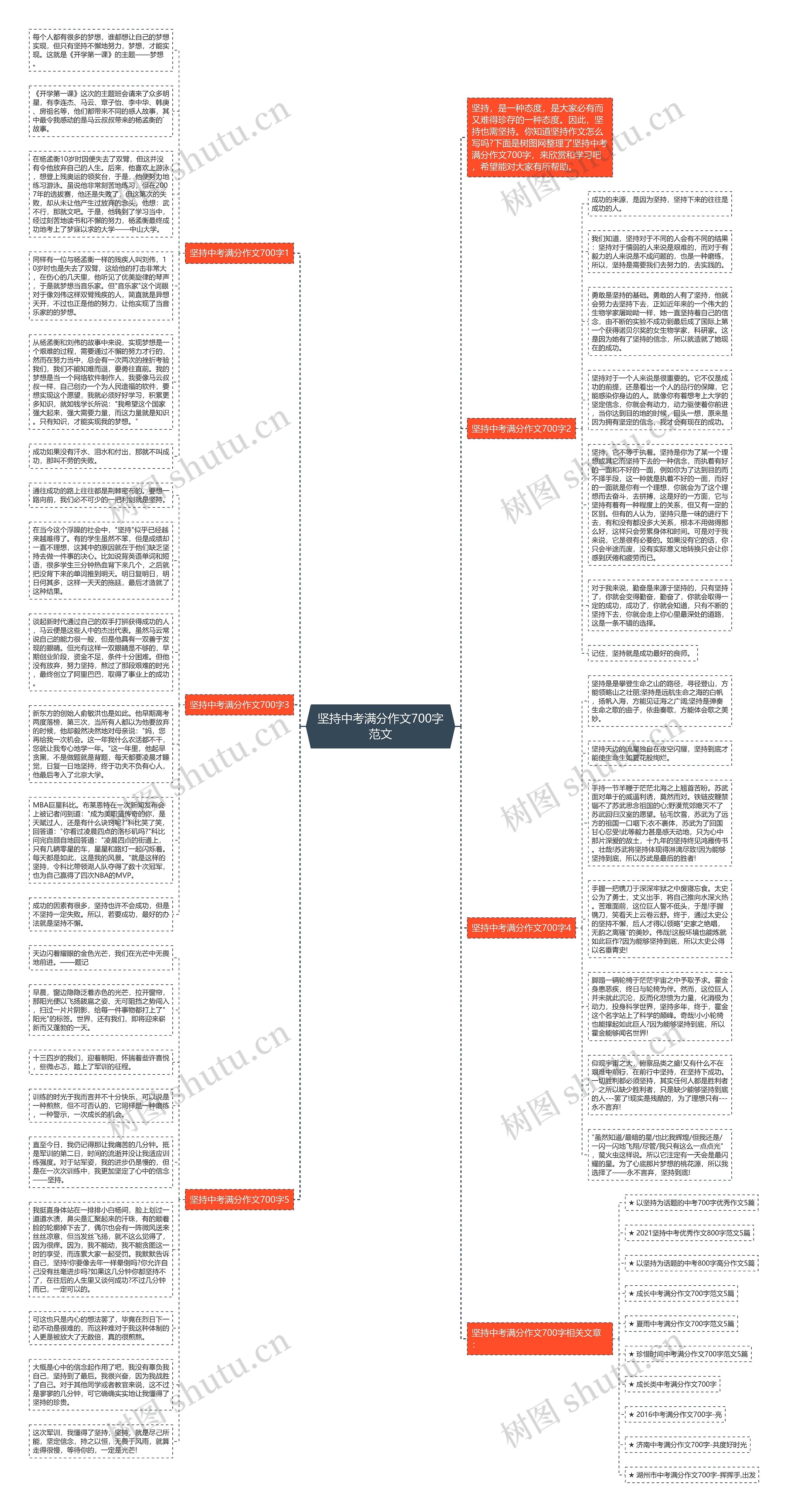 坚持中考满分作文700字范文思维导图