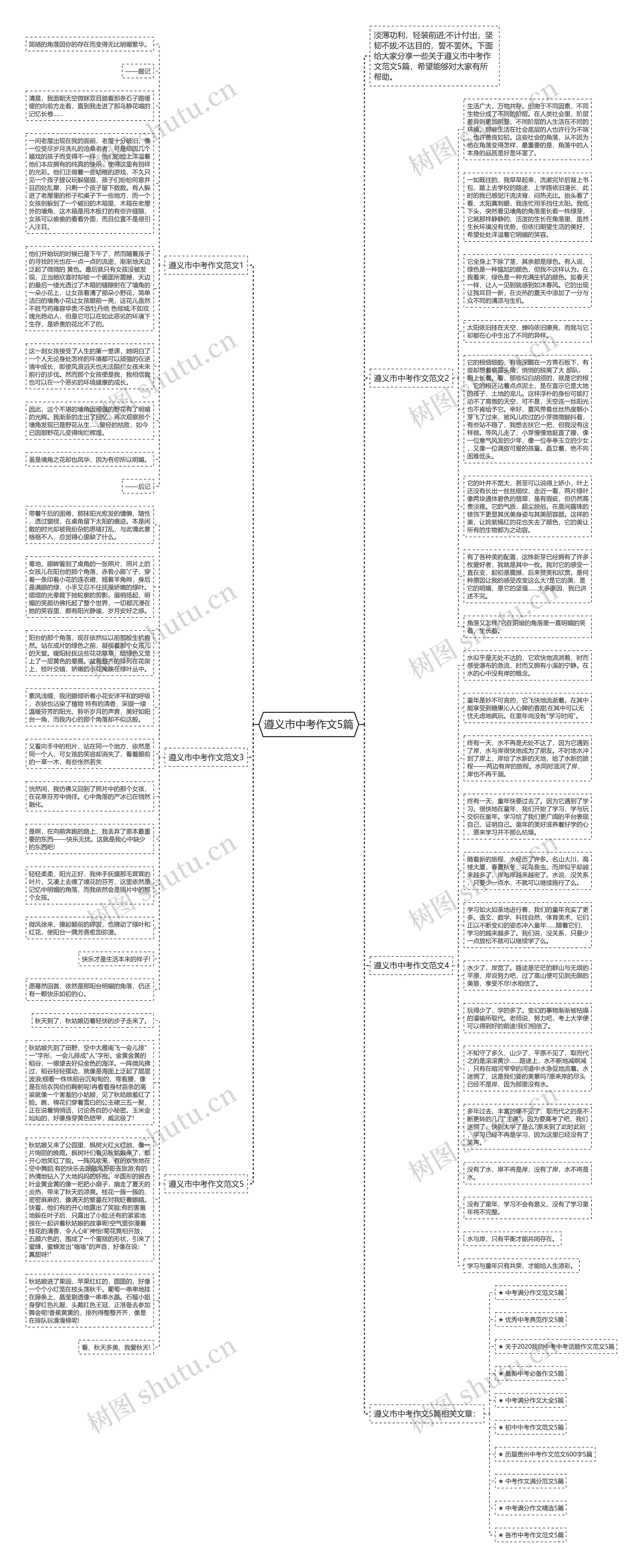 遵义市中考作文5篇思维导图