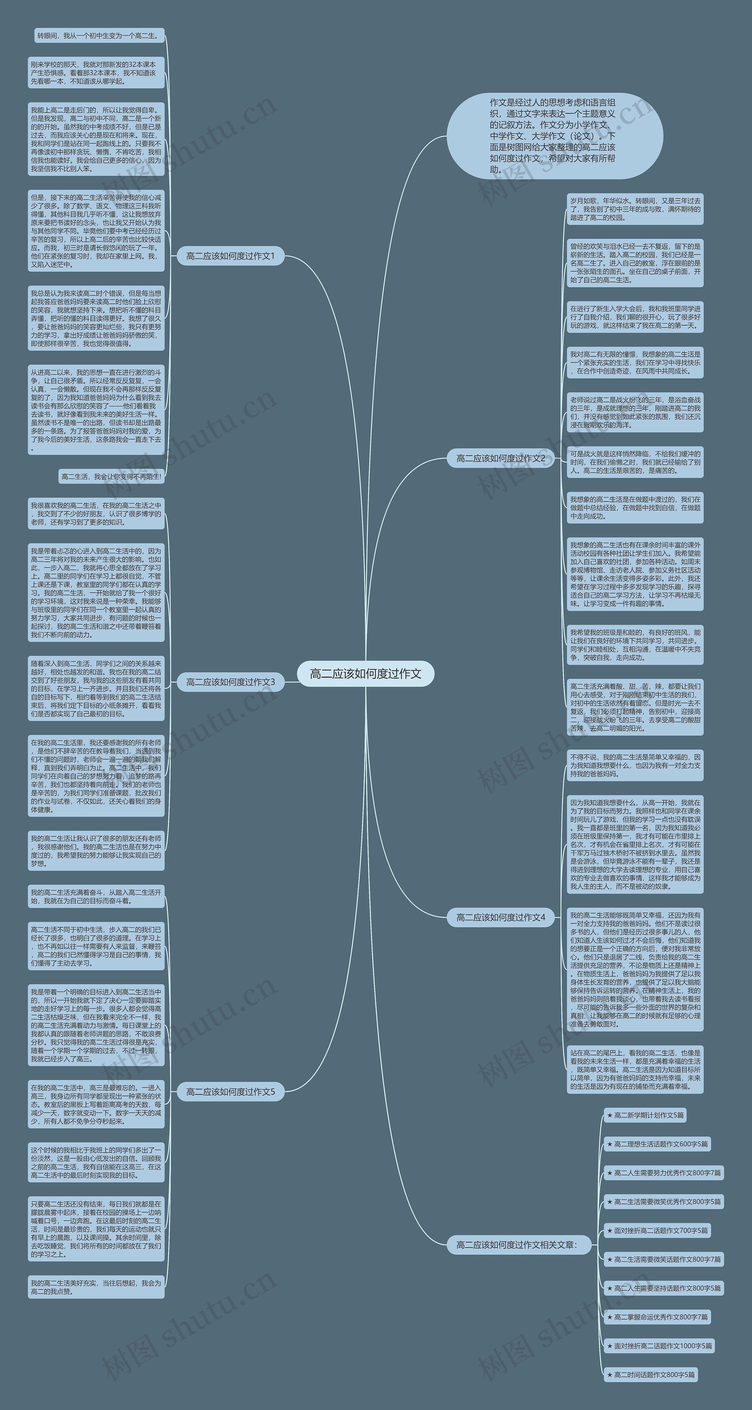 高二应该如何度过作文思维导图