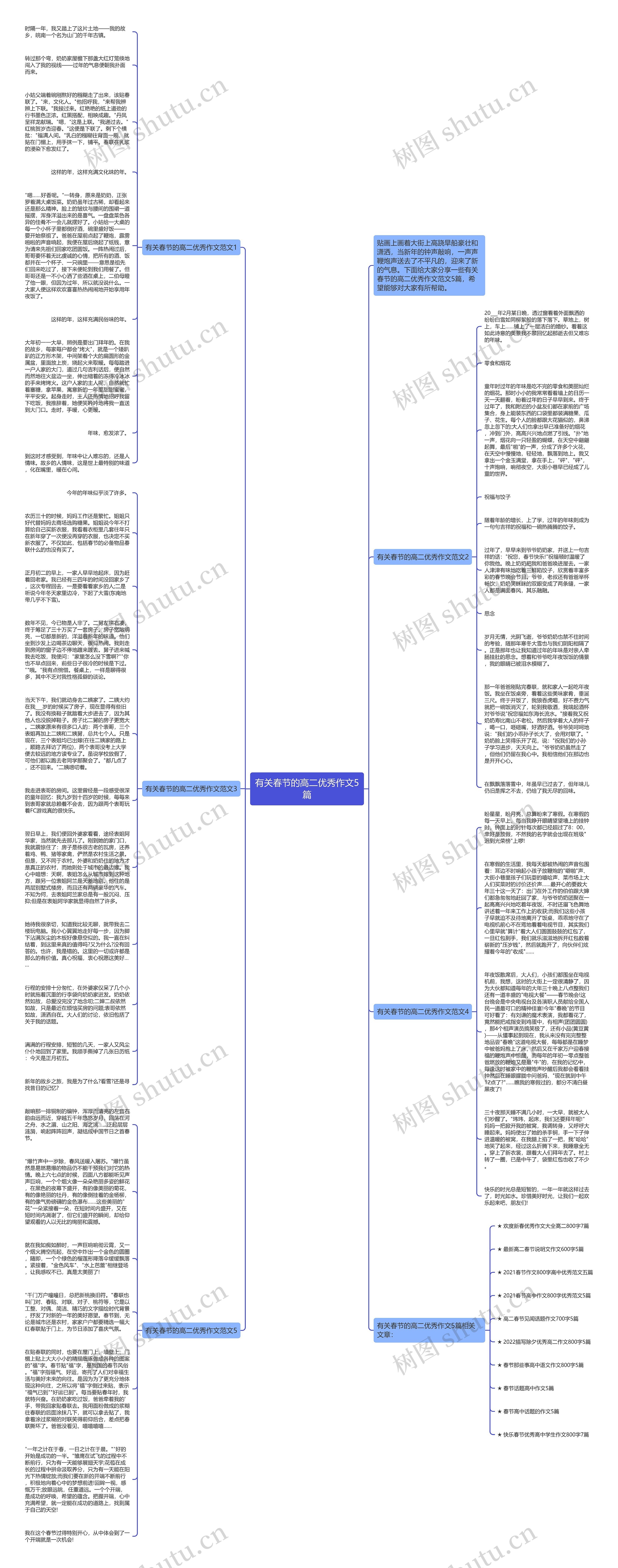有关春节的高二优秀作文5篇思维导图