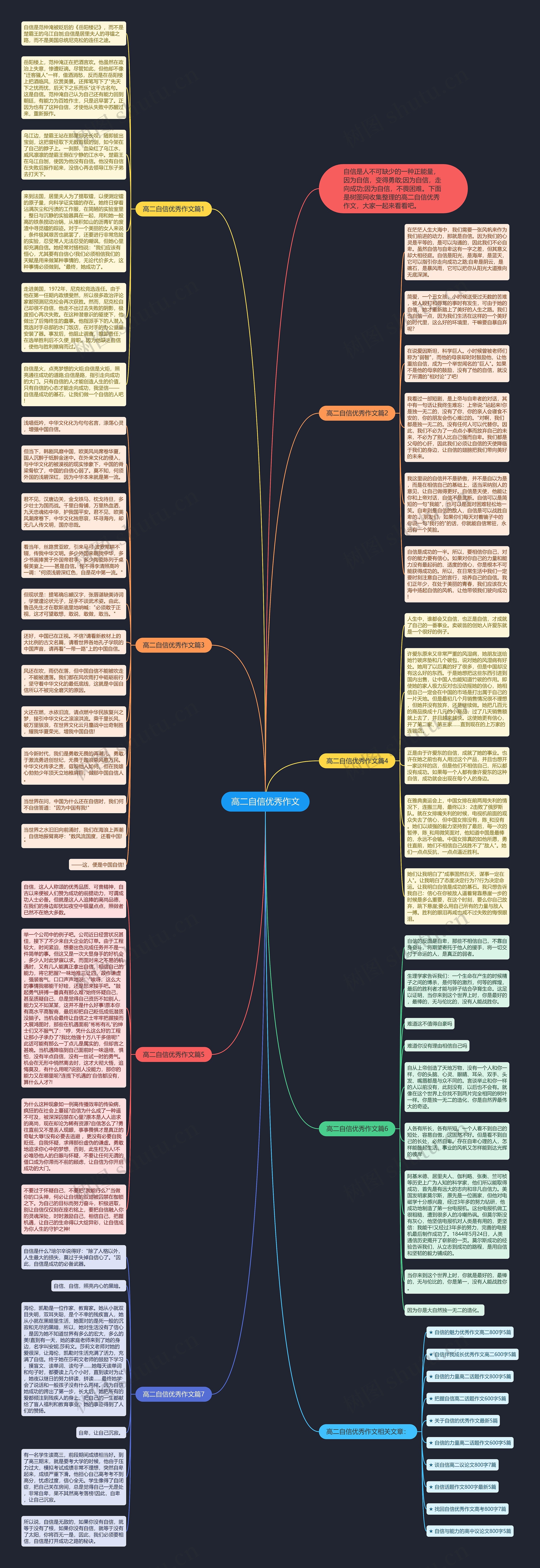 高二自信优秀作文思维导图