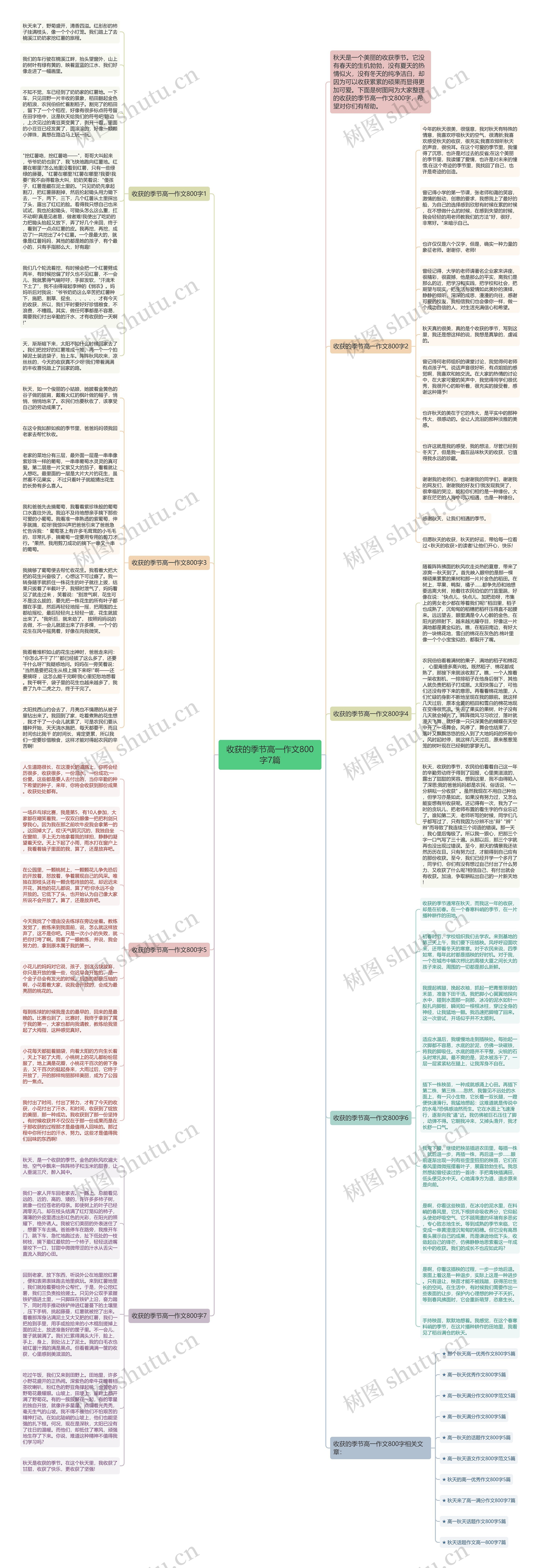 收获的季节高一作文800字7篇思维导图