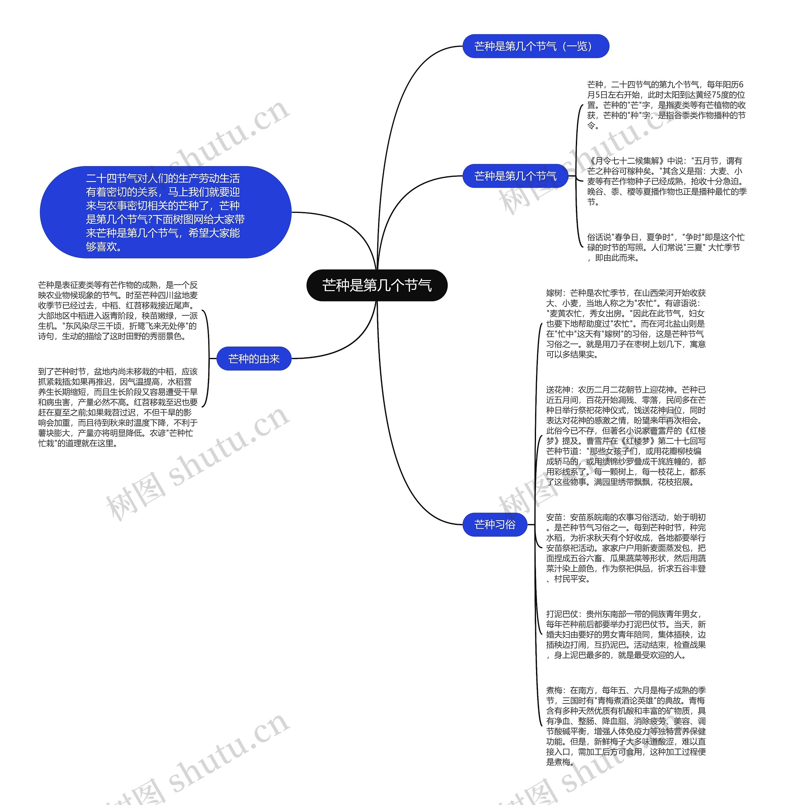 芒种是第几个节气思维导图