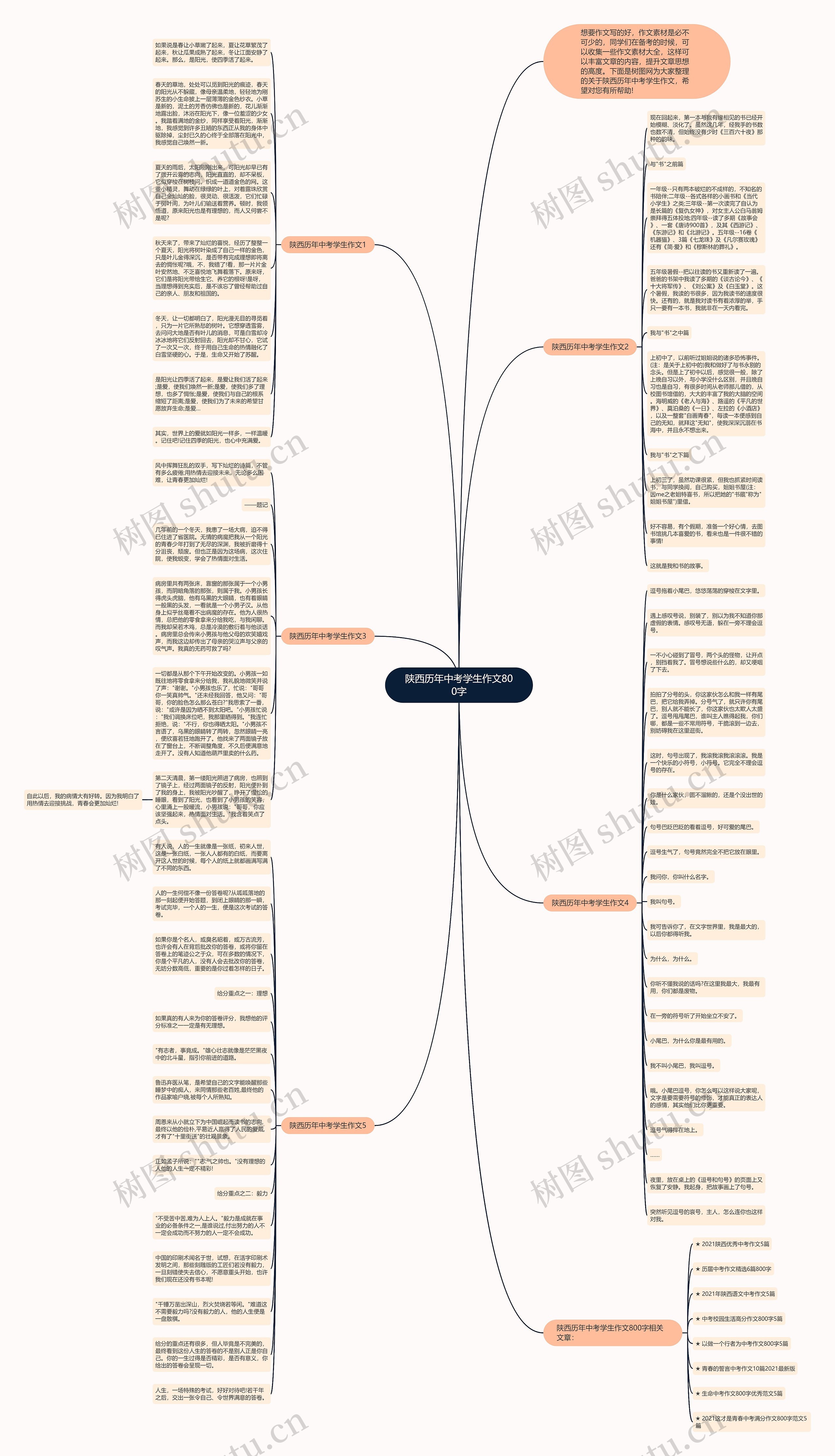 陕西历年中考学生作文800字思维导图
