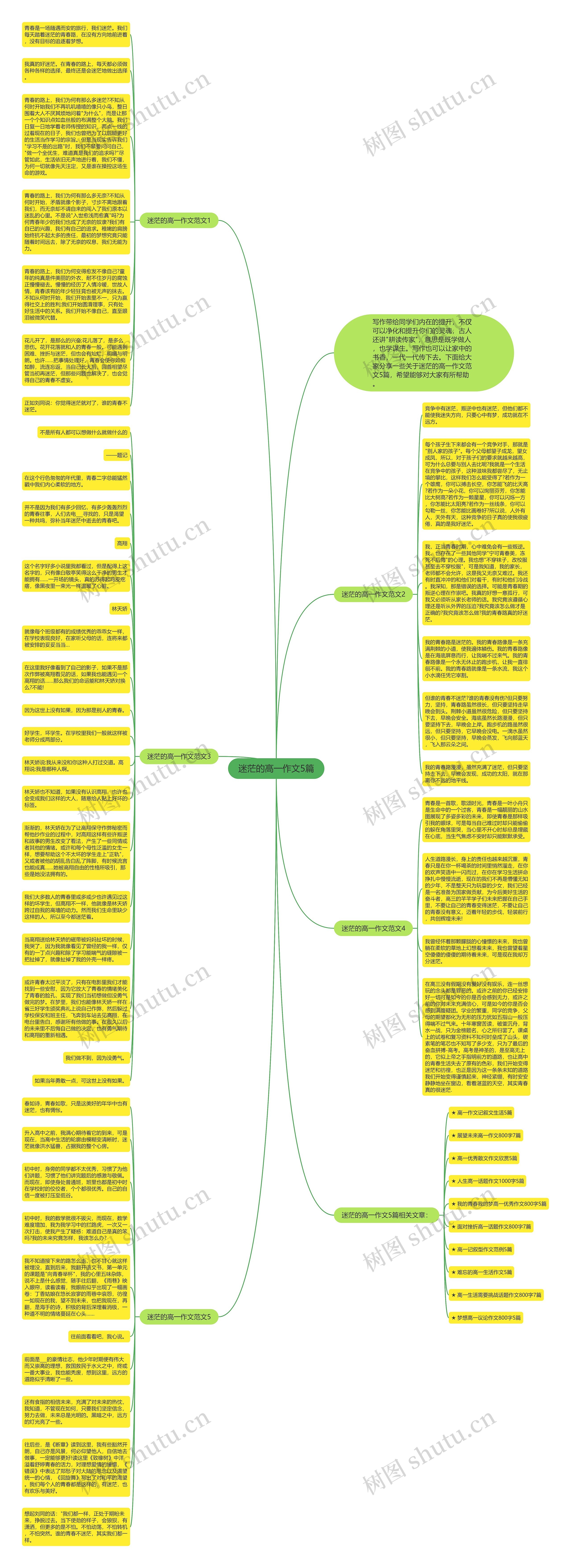 迷茫的高一作文5篇思维导图