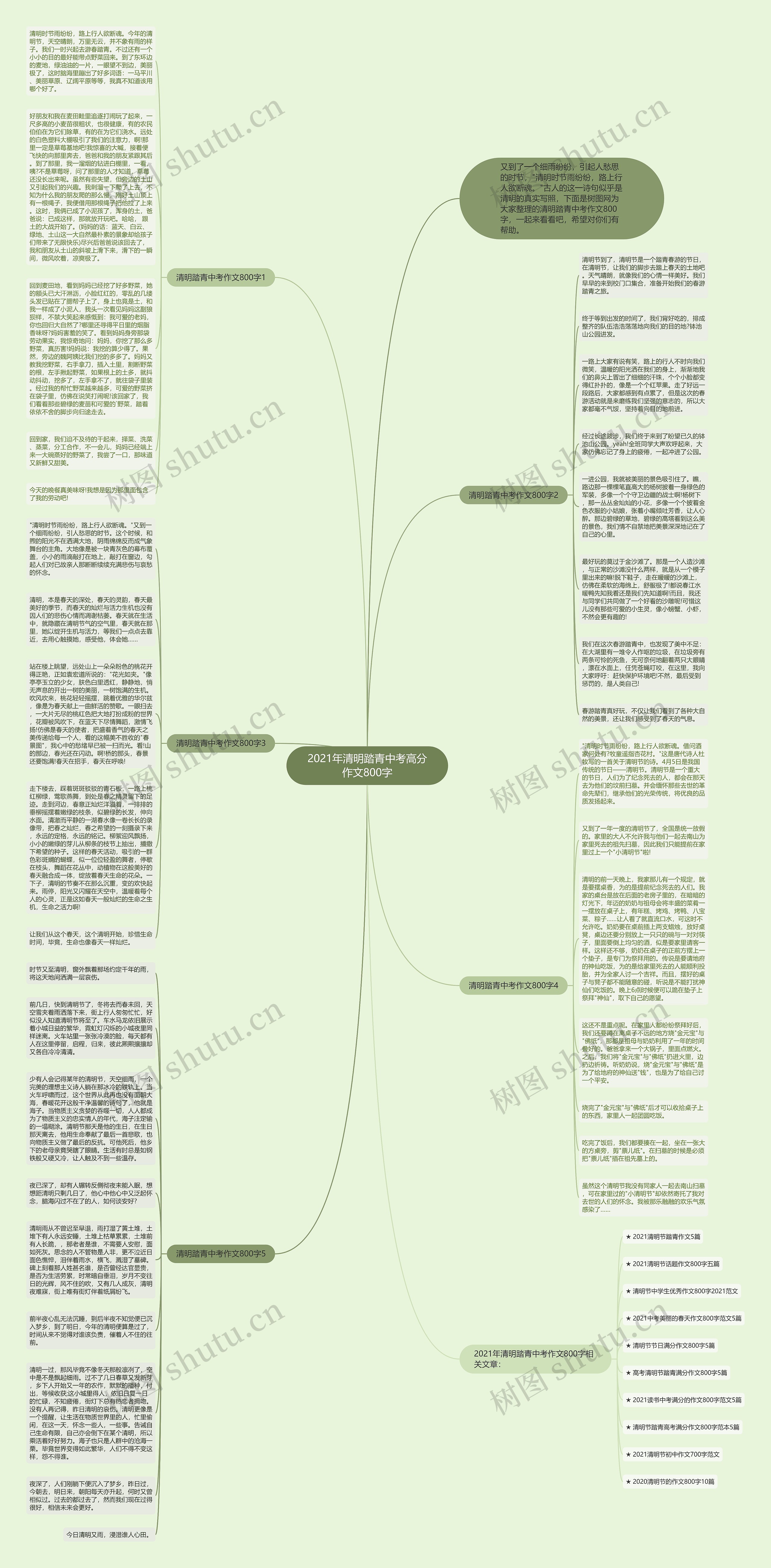 2021年清明踏青中考高分作文800字思维导图