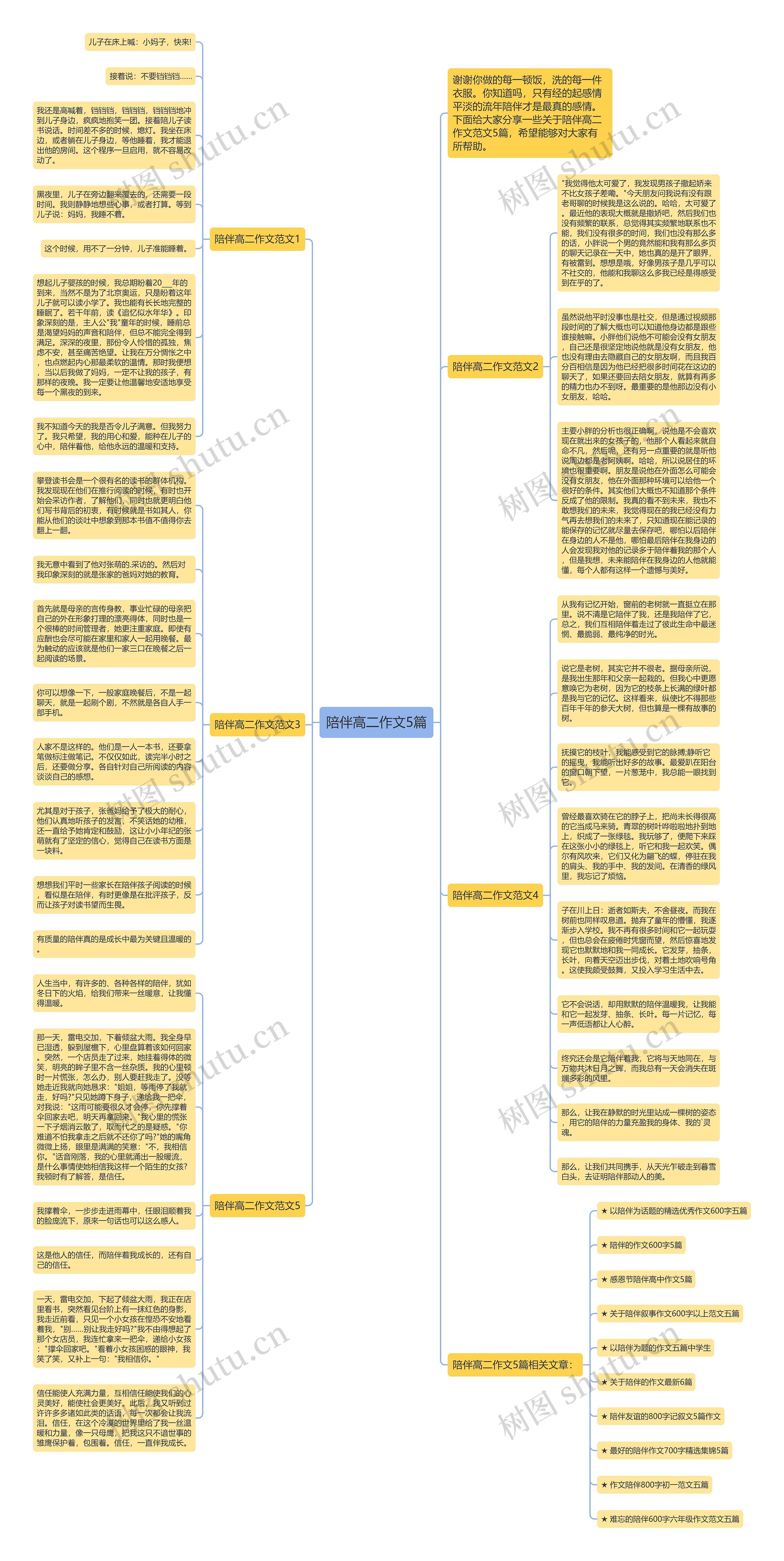 陪伴高二作文5篇思维导图高清图 陪伴高二作文5篇思维导图