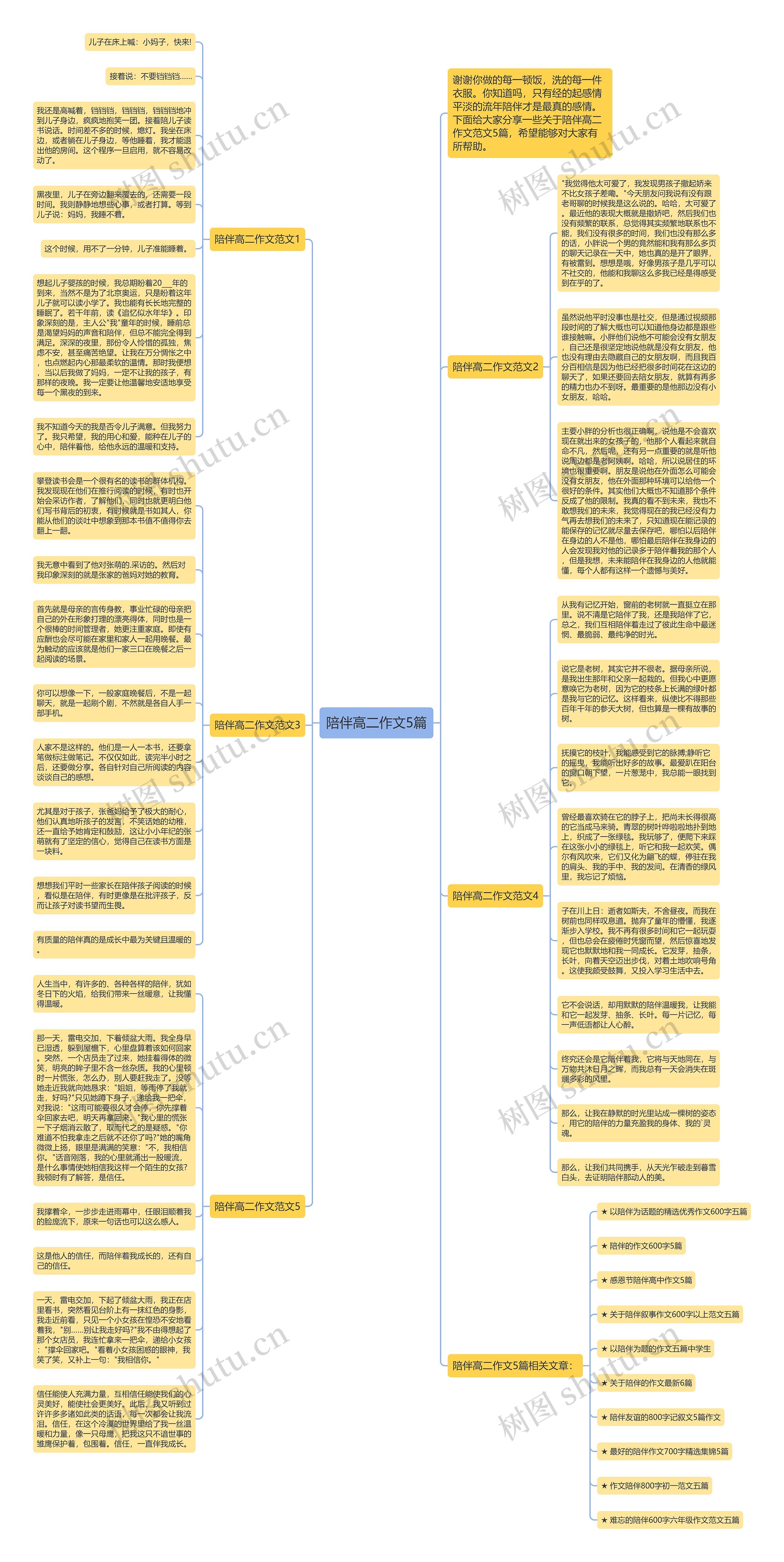 陪伴高二作文5篇思维导图